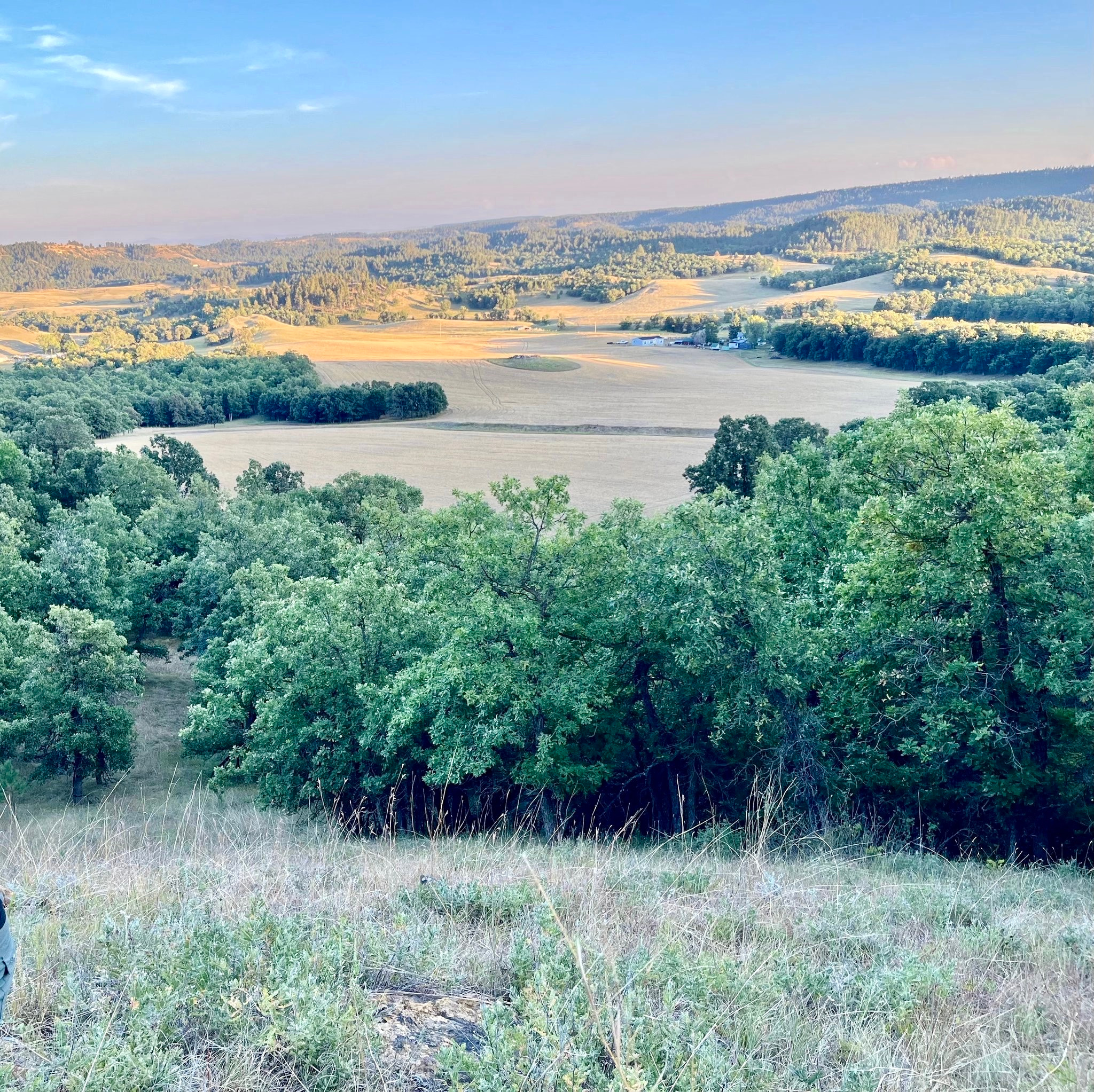 View from top of our property near the ridge of the Bear Lodge
