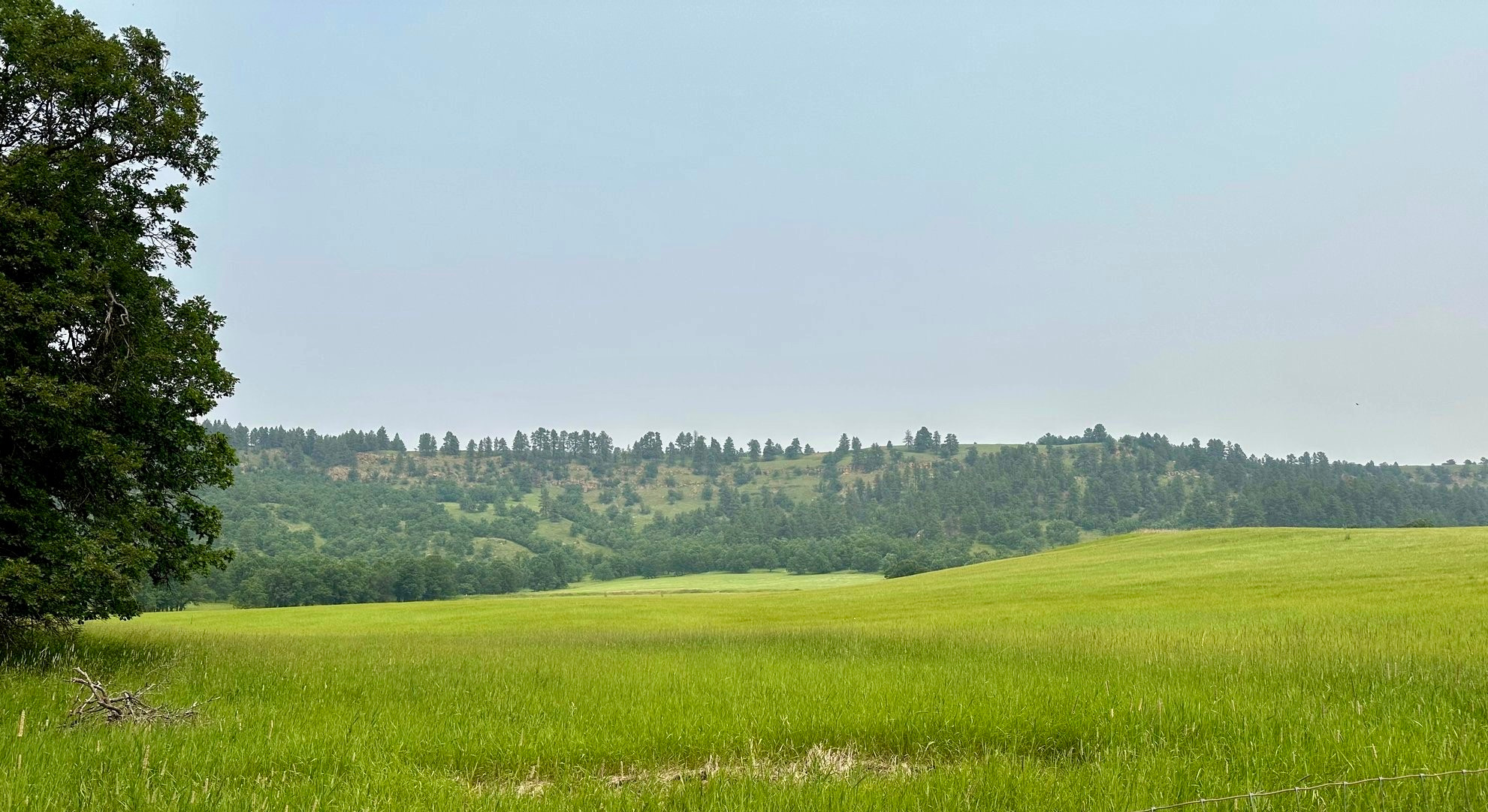 Hidden Acres