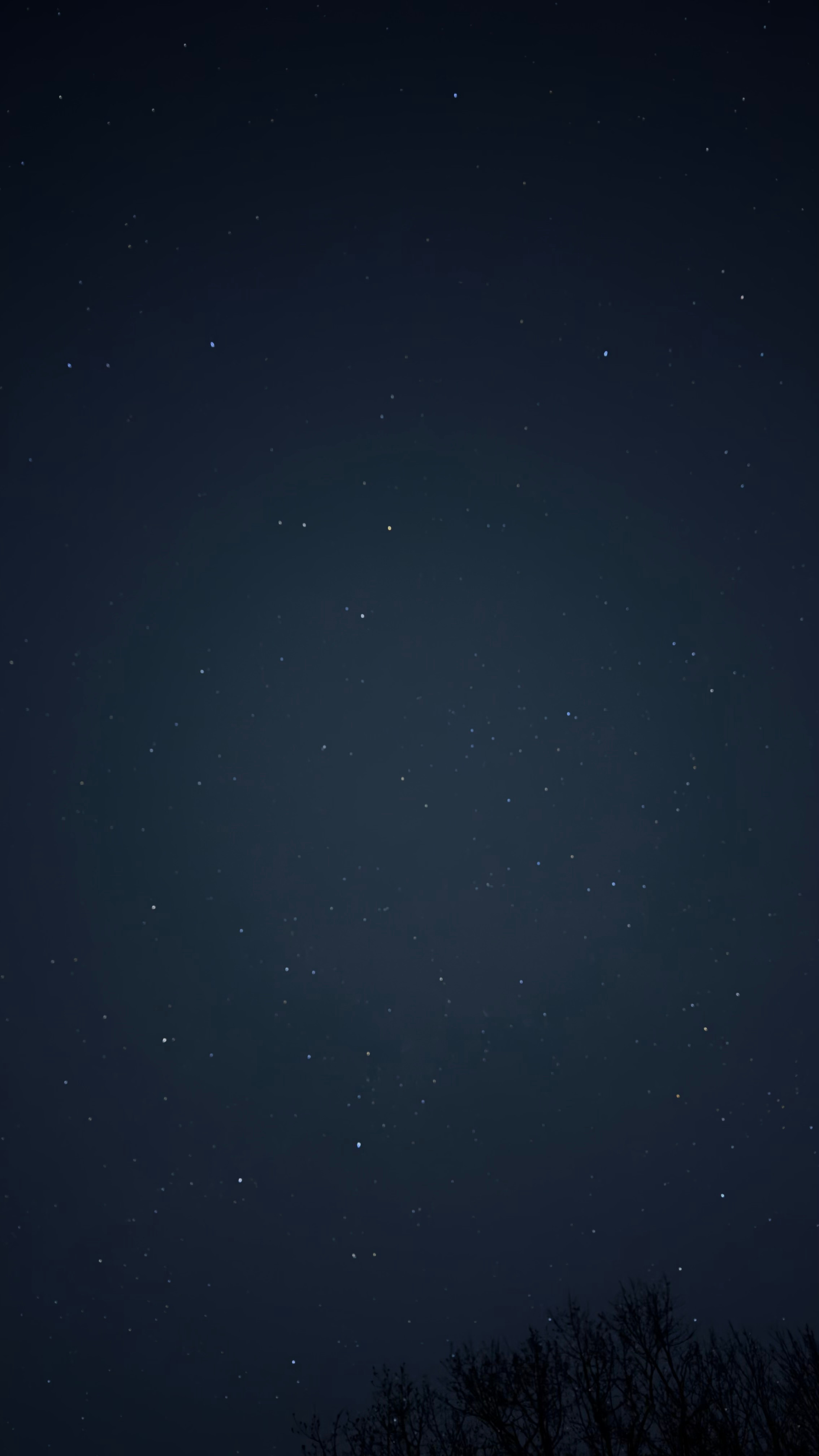 1850 Colonial Line Camp