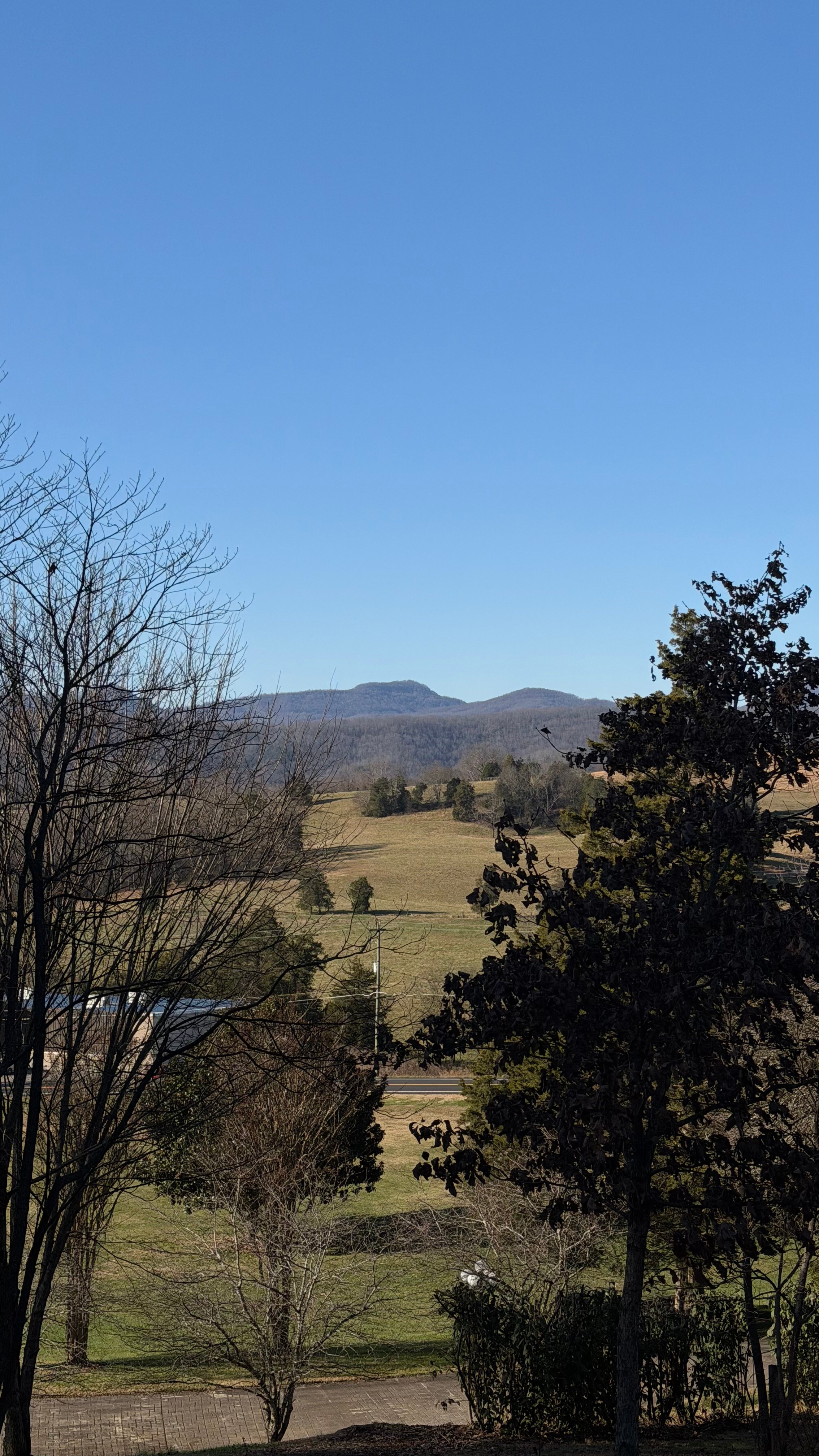 1850 Colonial Line Camp