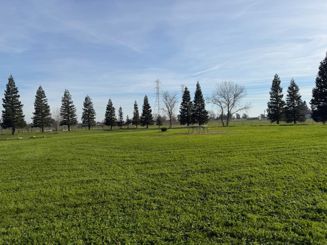 Irontire Campground