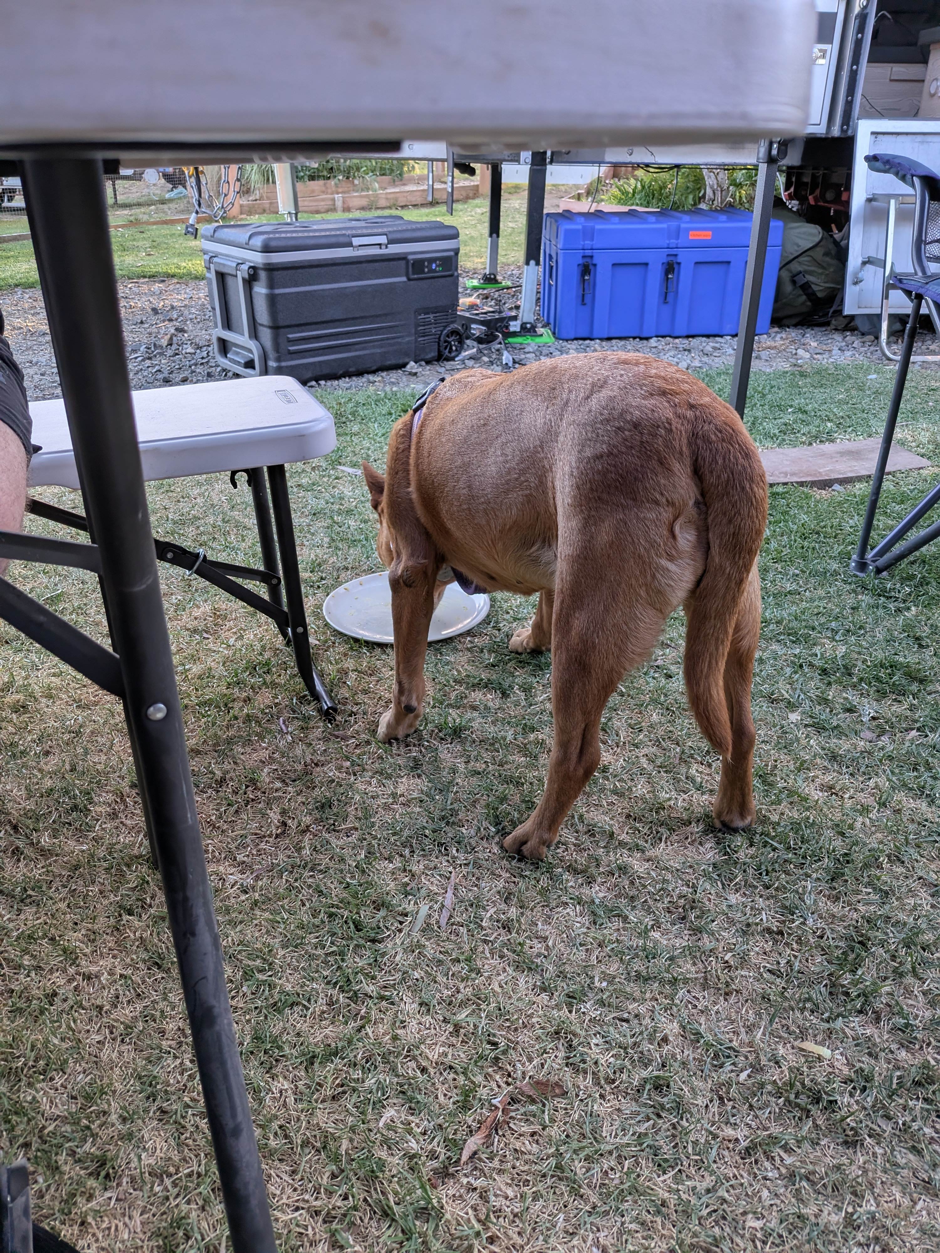 Cooinda Retreats - RV and Camp Stay