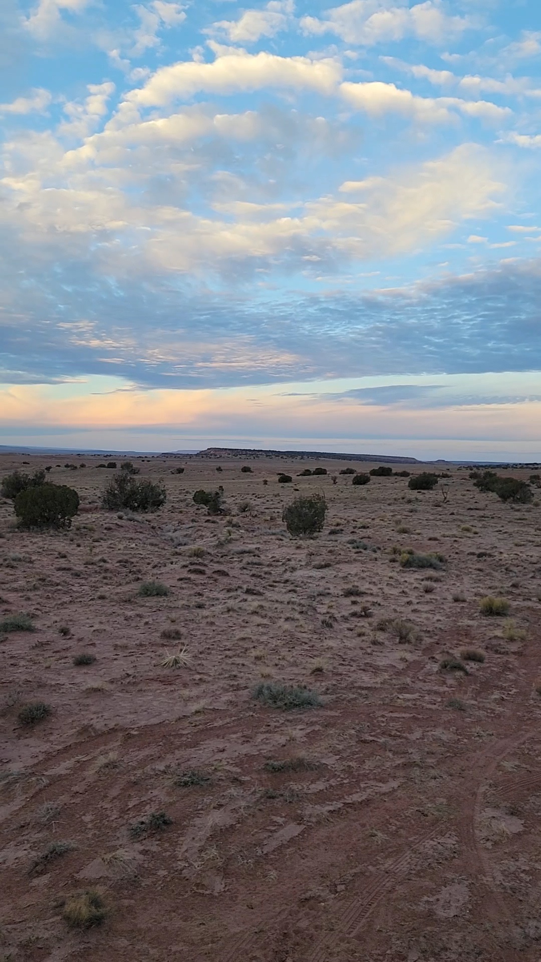 Resilient Ranch and Rescue