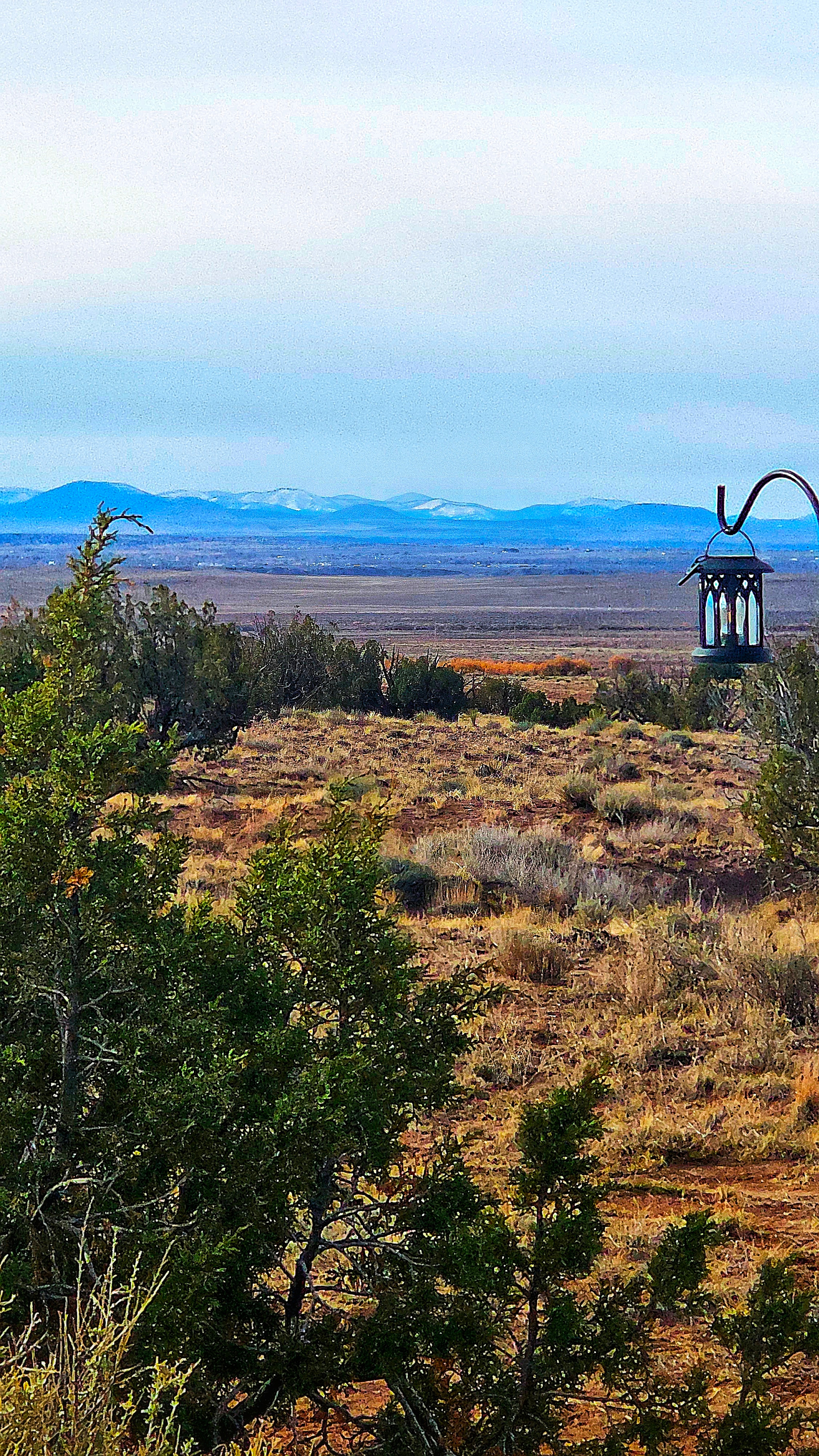 Resilient Ranch and Rescue