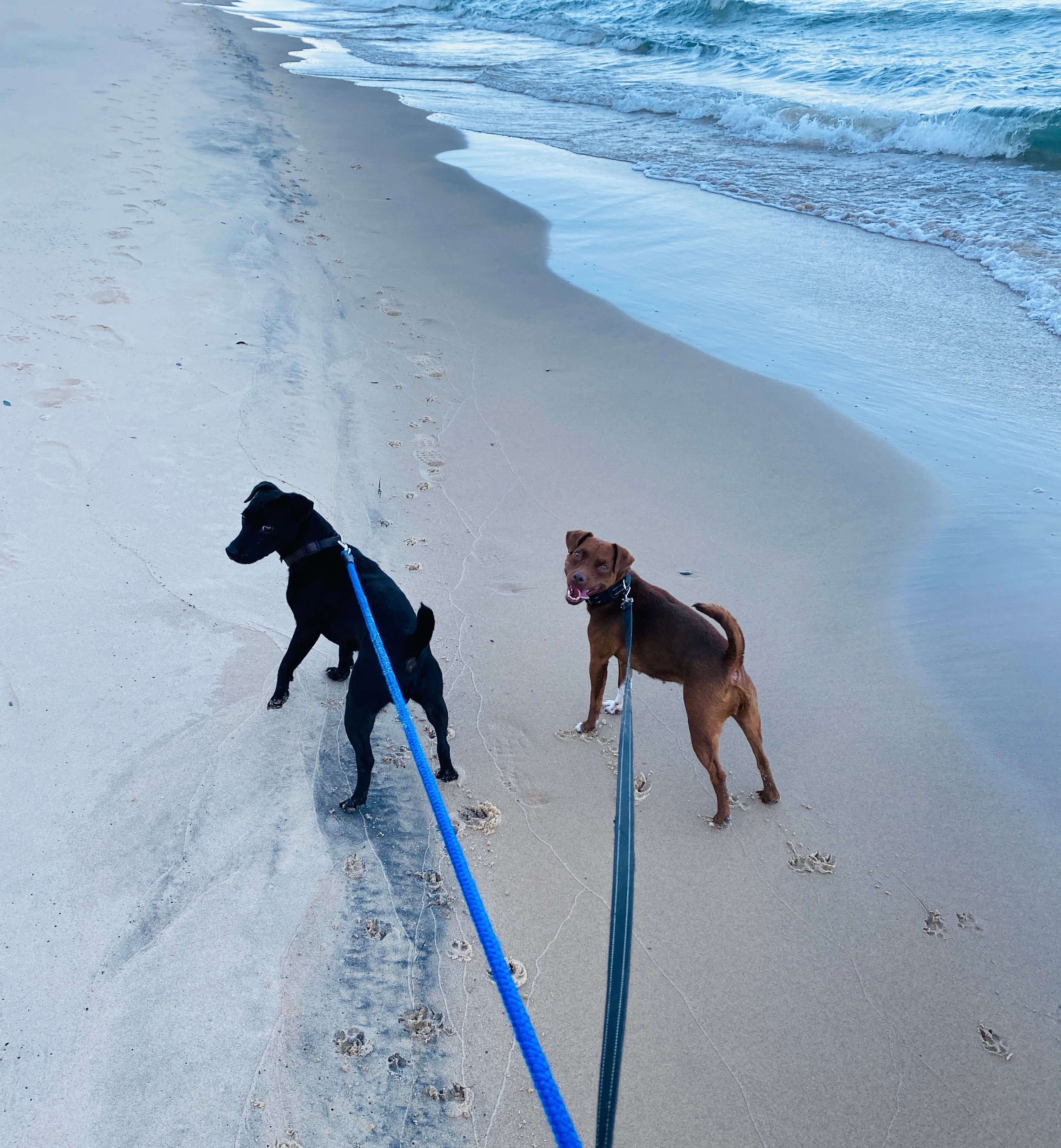 Beach Side on Blue Star