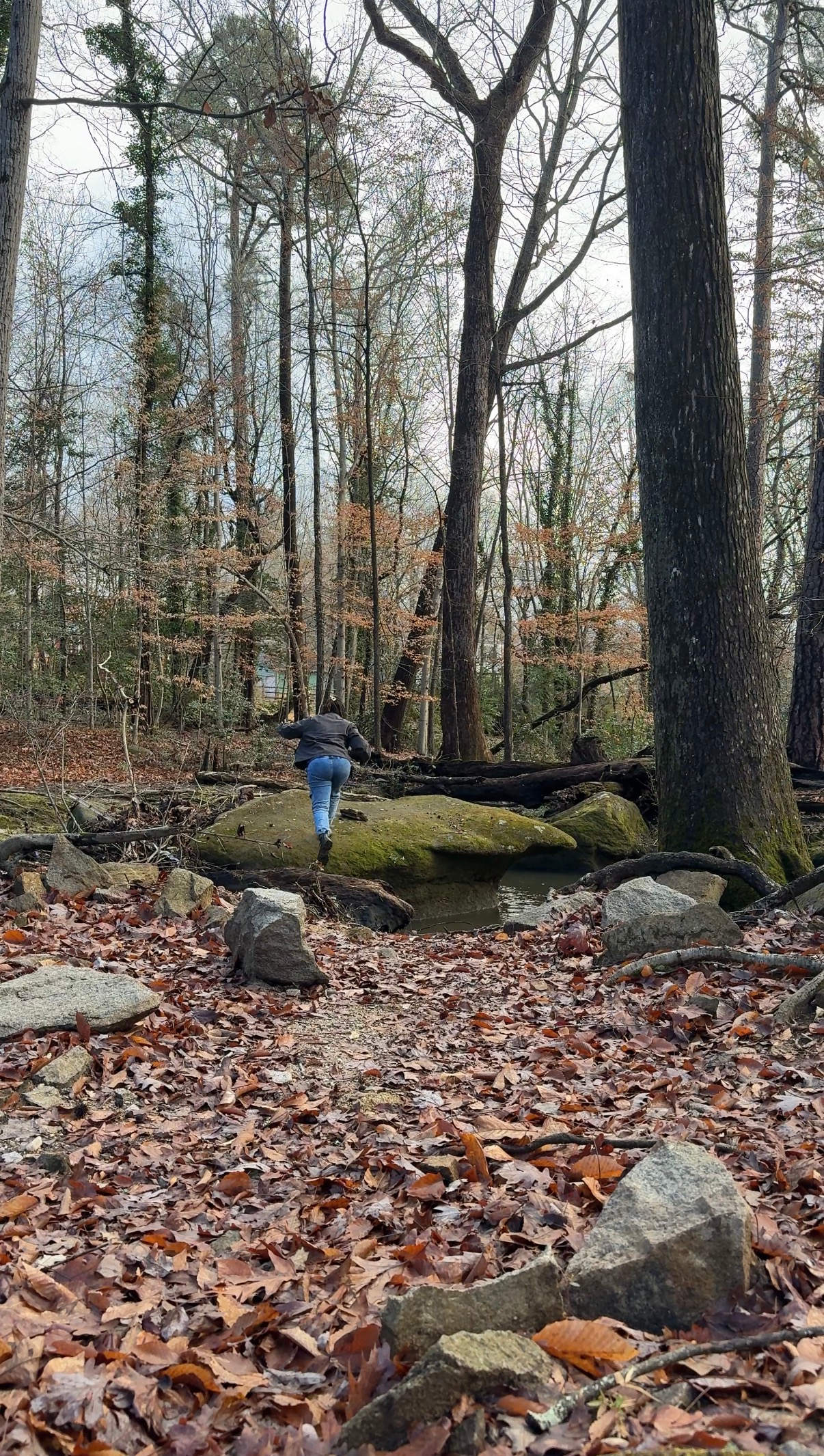 City Camp on Reedy Creek