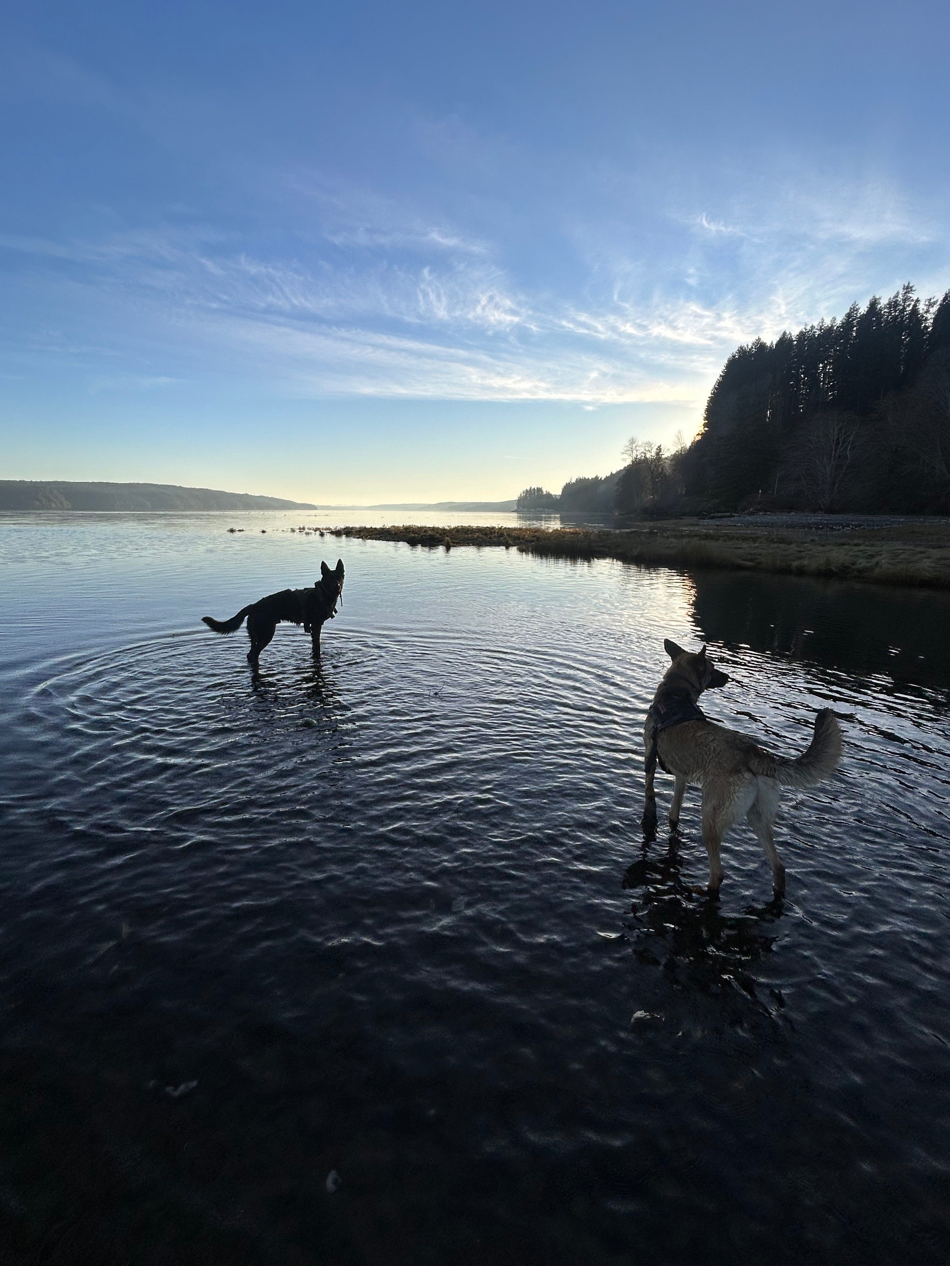 Hood Canal Oyster Farm | Lilliwaup