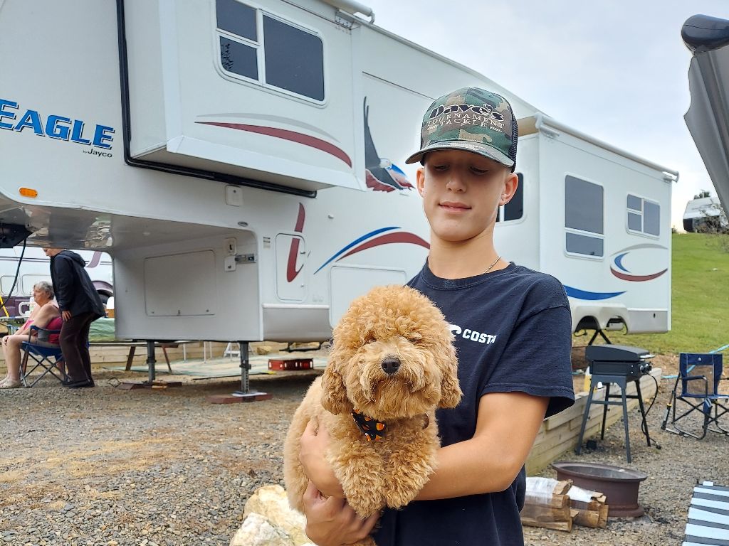 Fancy Gap Cabins And Campground