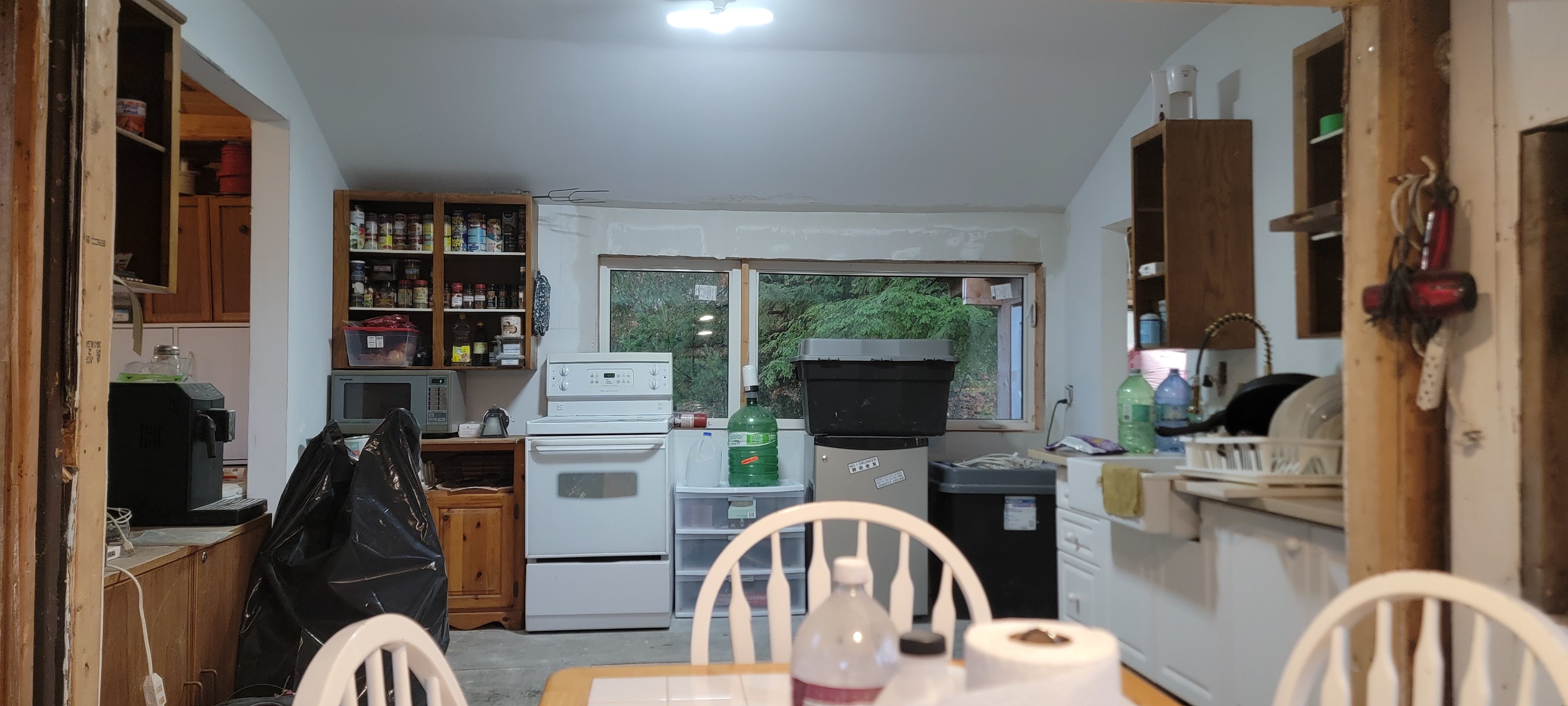 Solitary oasis on a rock