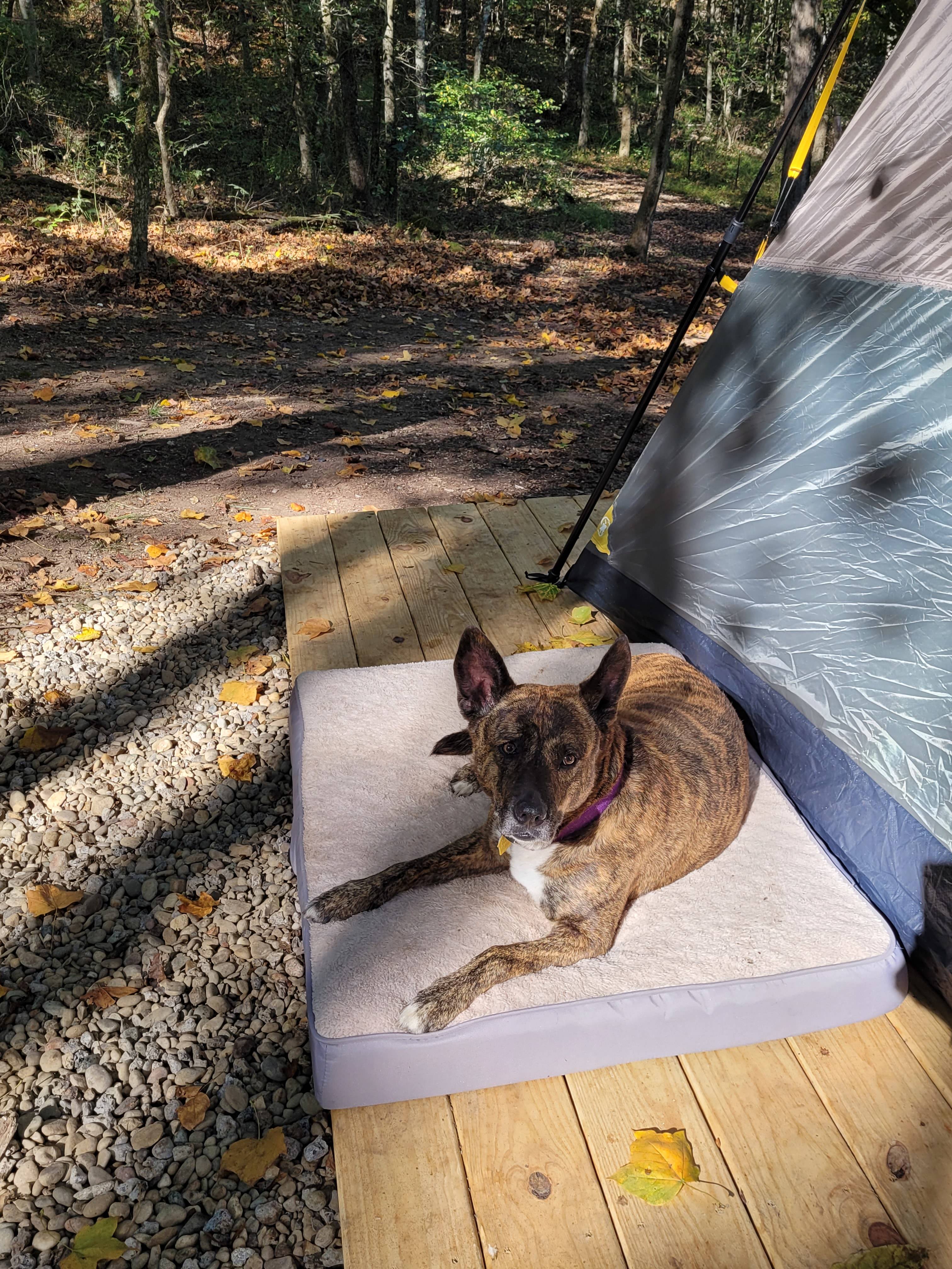 Loving my camping trip 