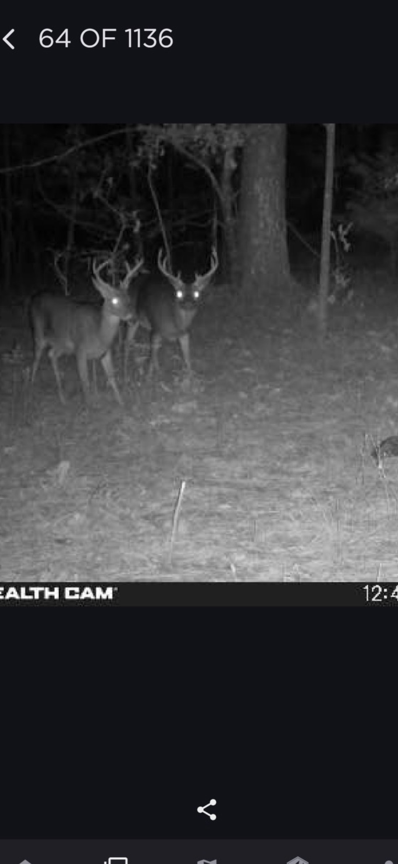 Nature Loveres Peace Love & Happine