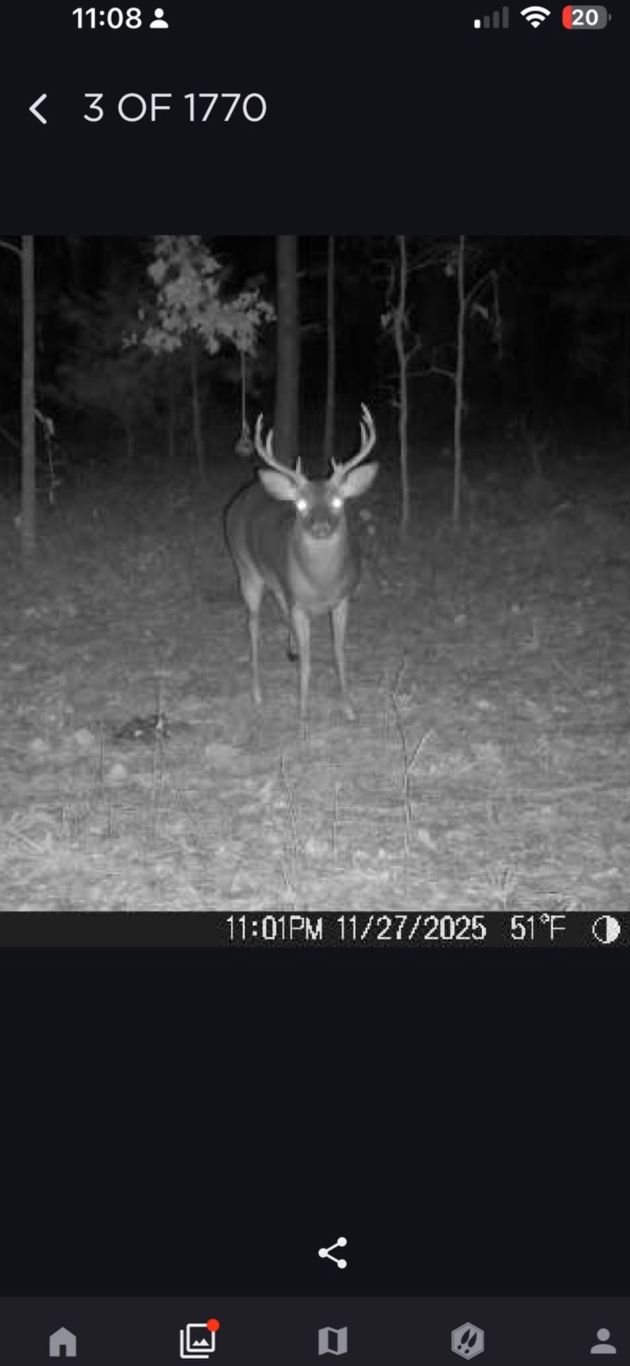 Nature Loveres Peace Love & Happine