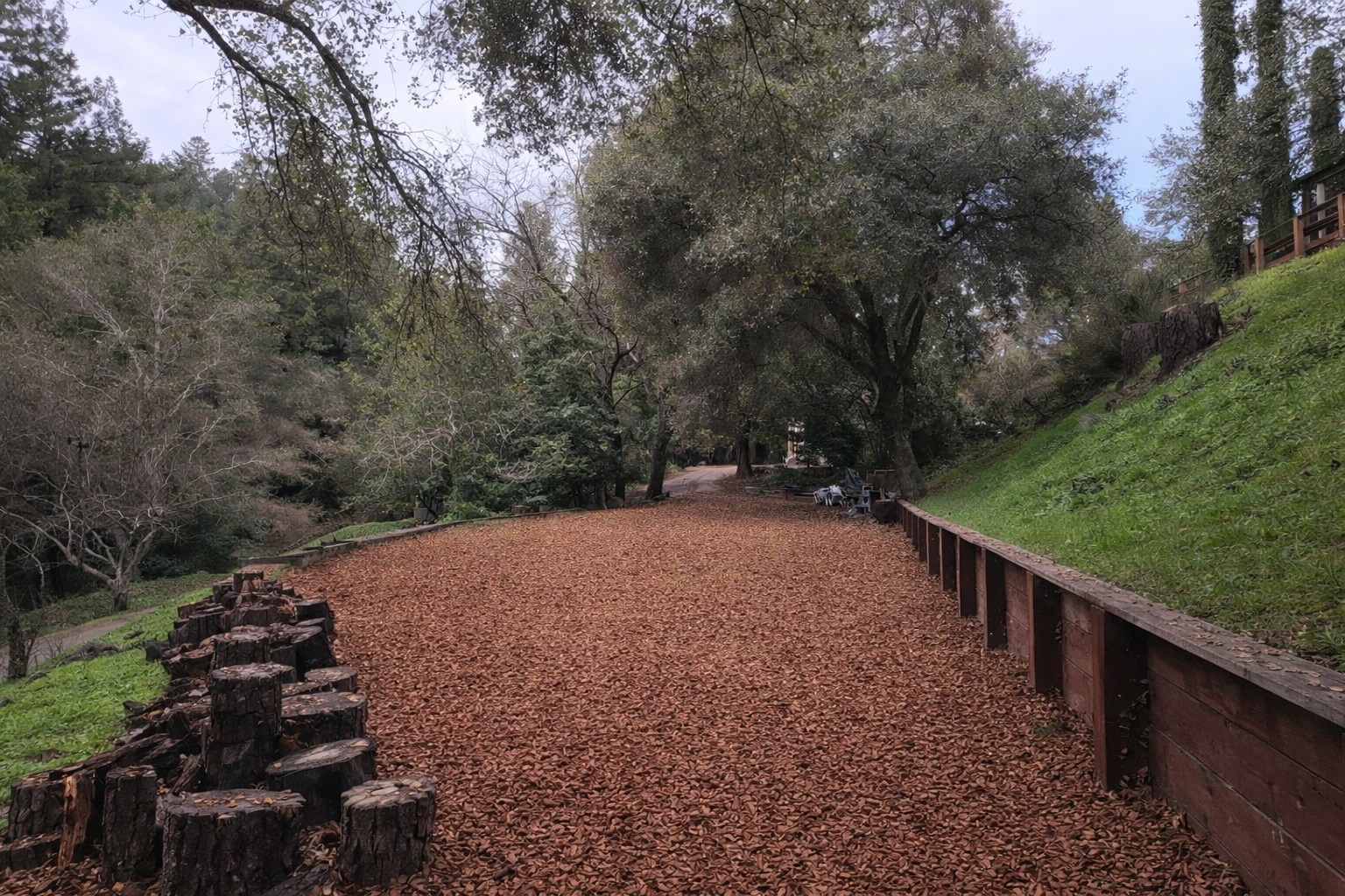 The Campground At Chez Serendip