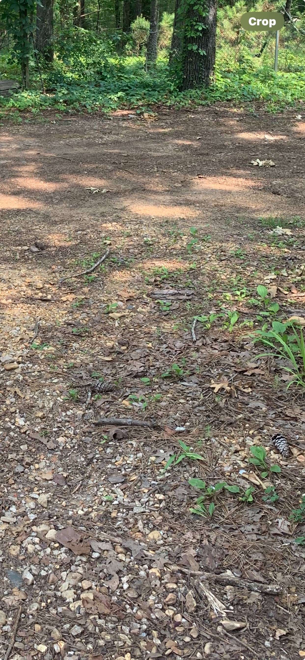 Nature Loveres Peace Love & Happine