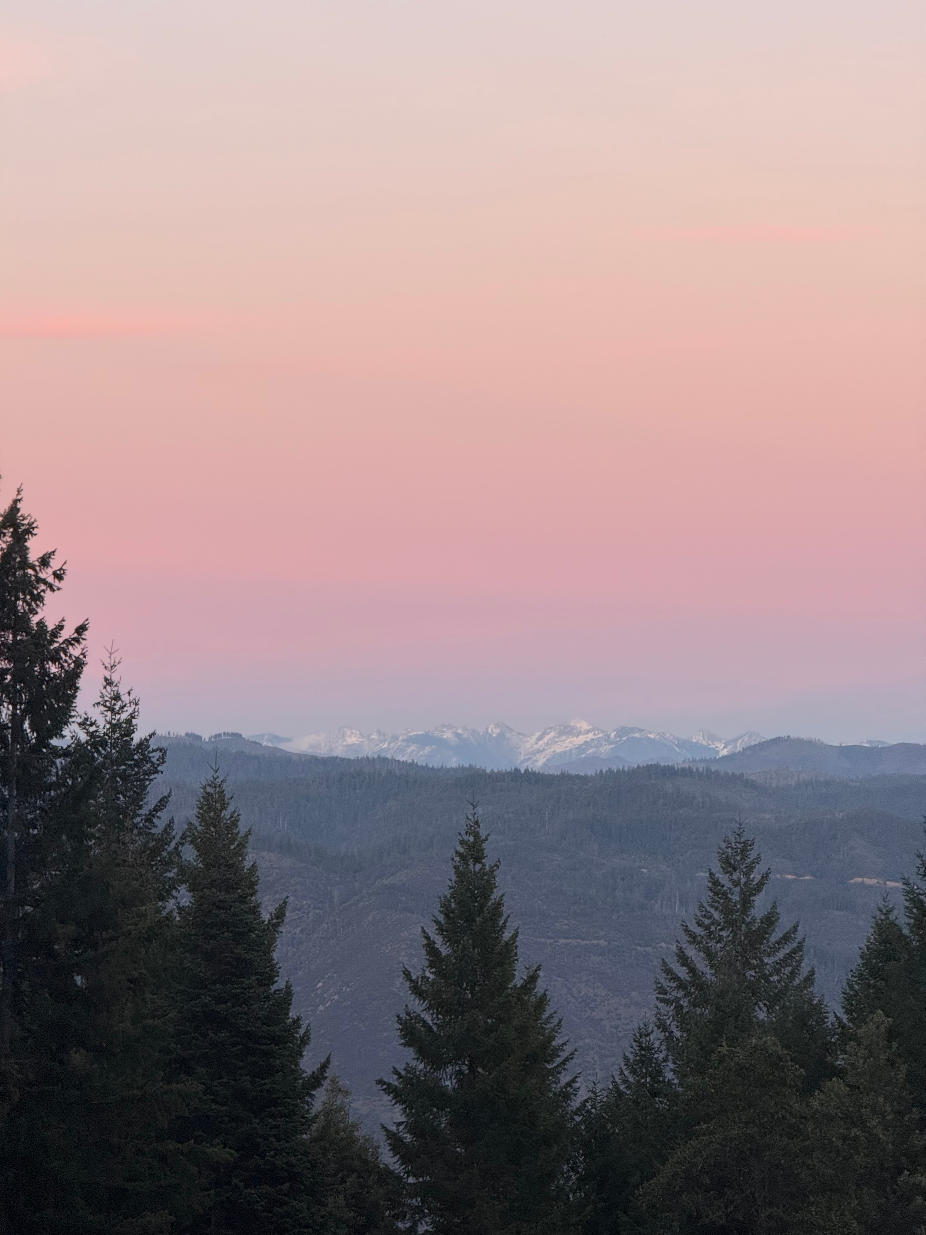La Posada De Los Hongos