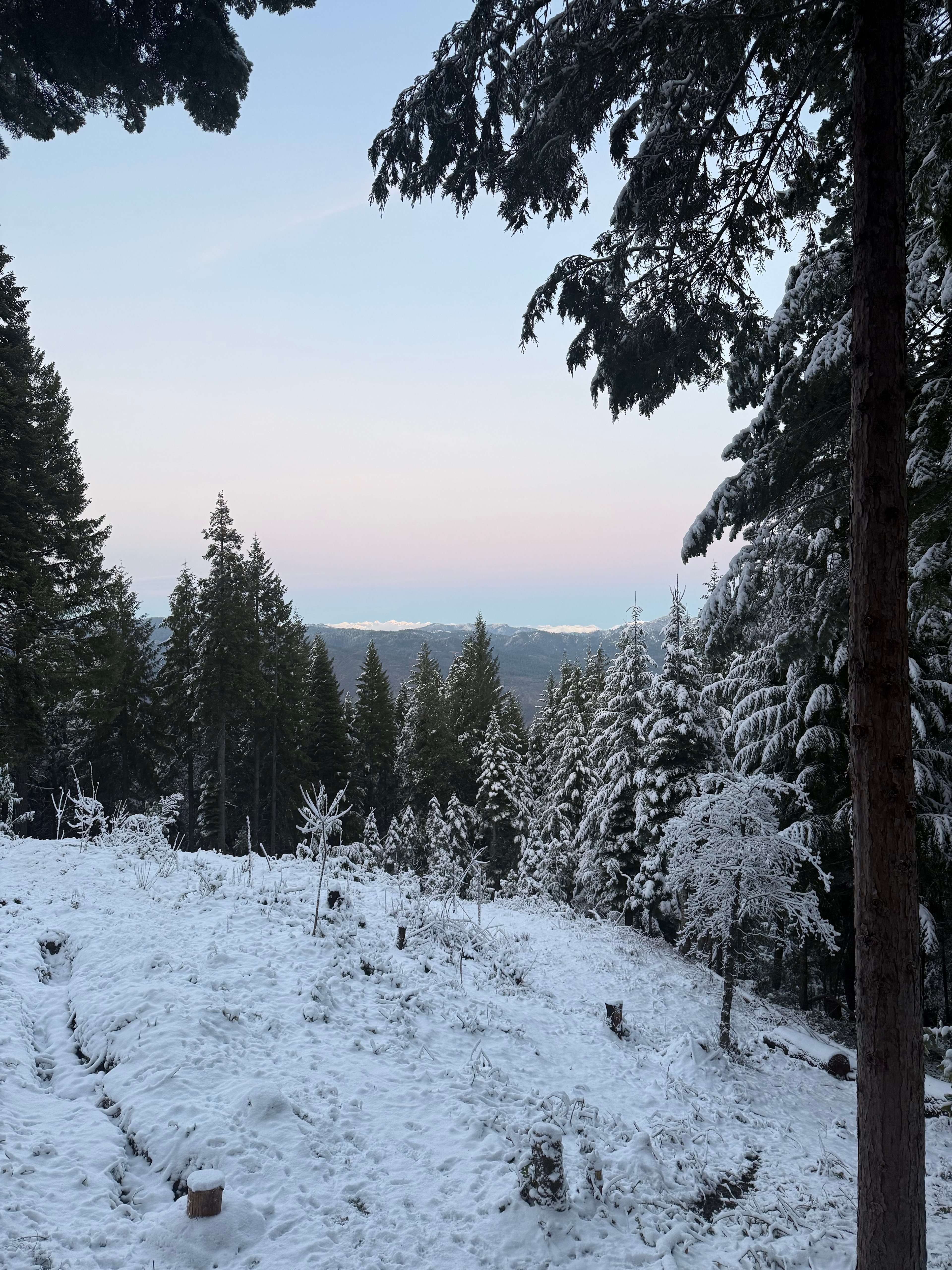 La Posada De Los Hongos
