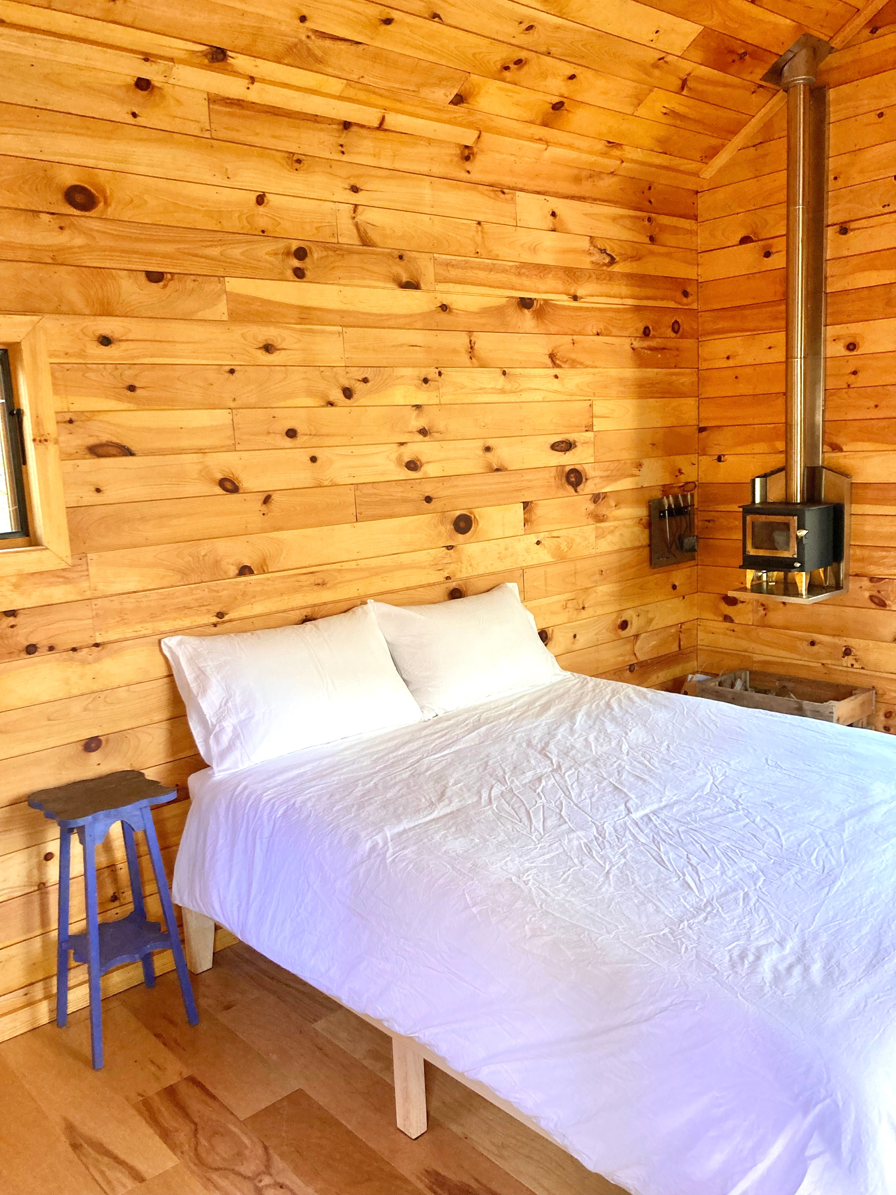 Mossy Forest by the Coast