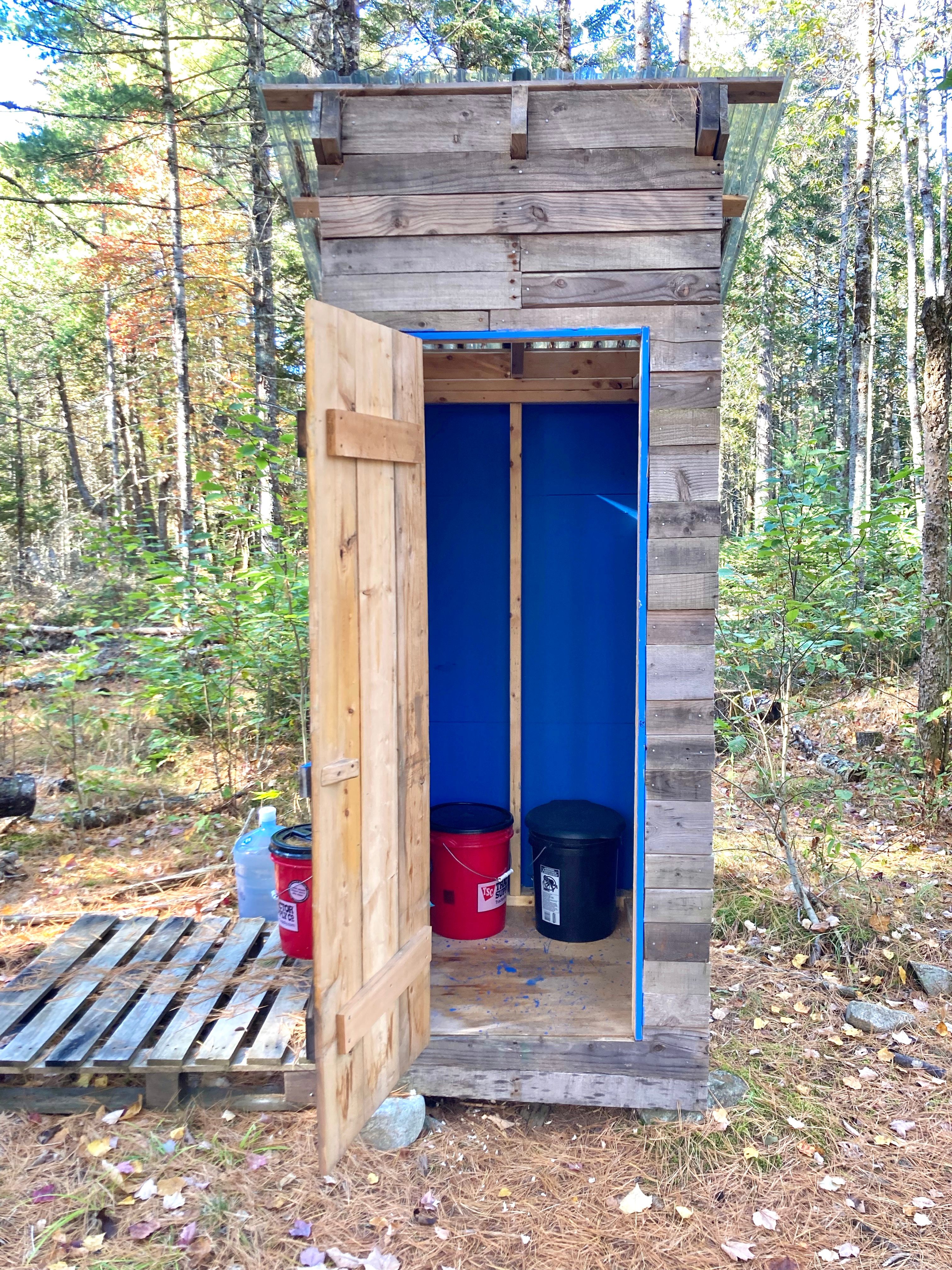 Mossy Forest by the Coast