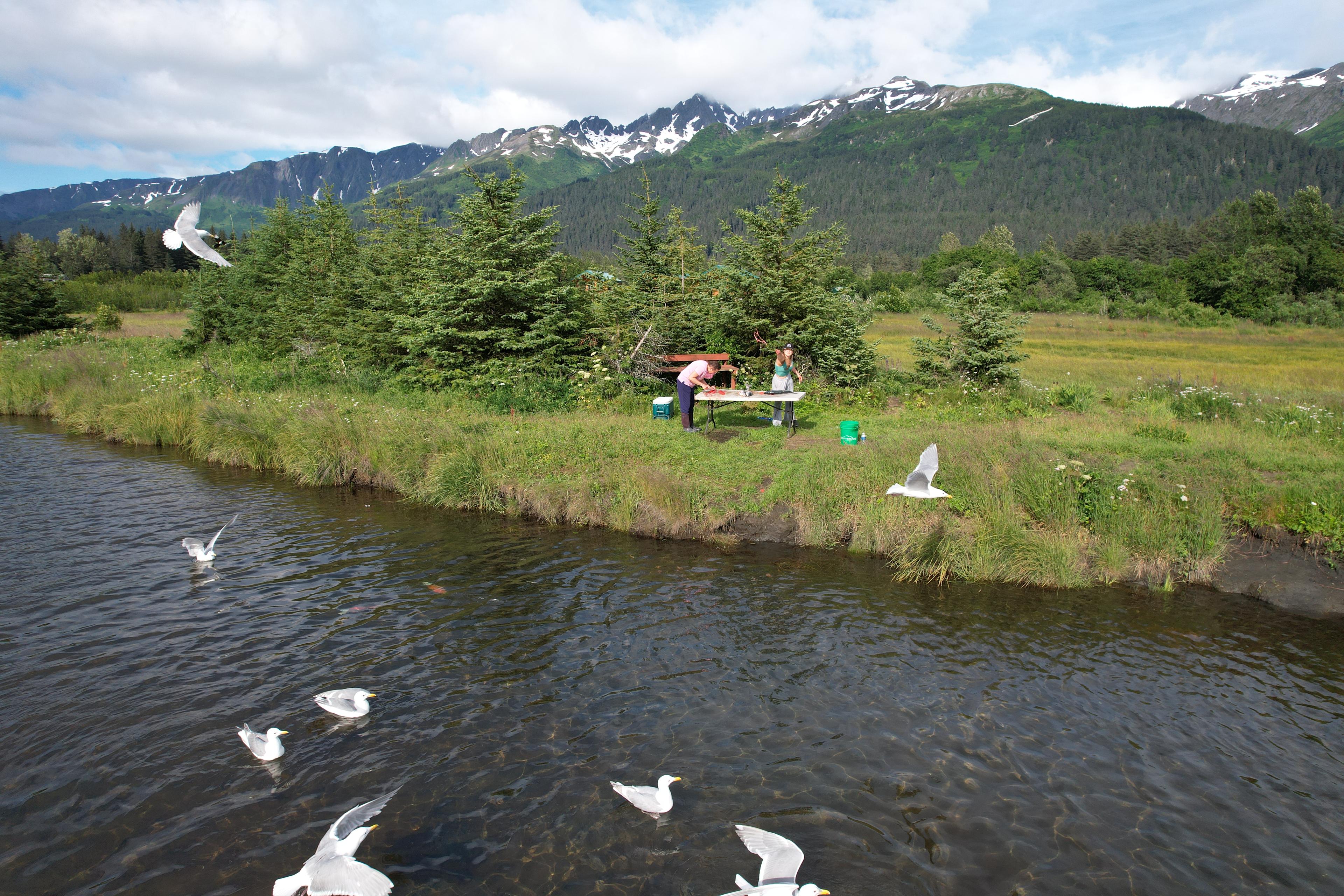 Nash Bayfront Campground