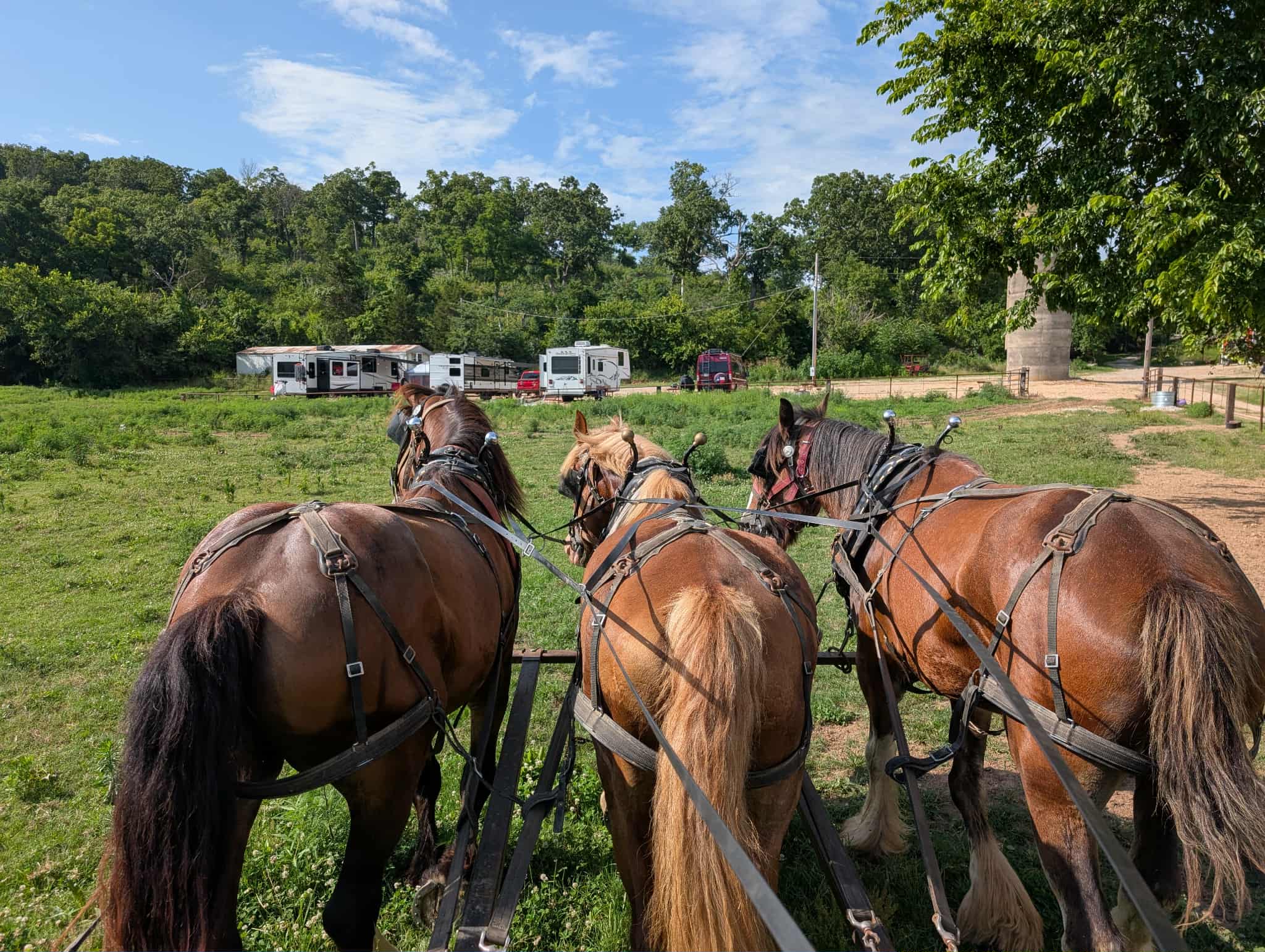 Clydesdale Experience & Campgrounds