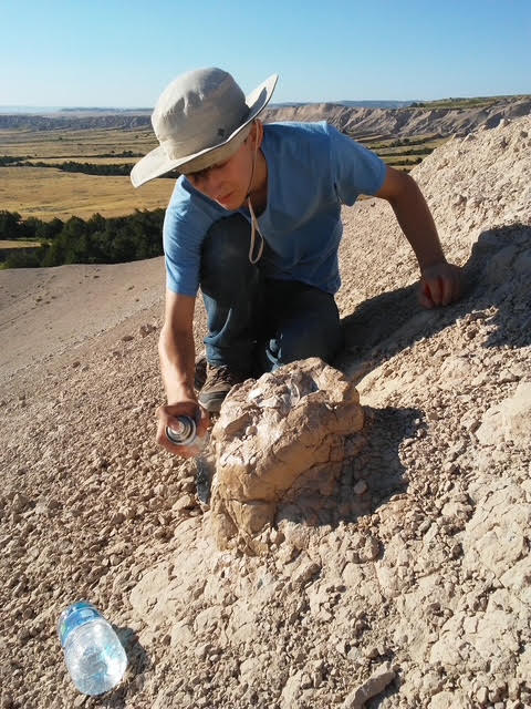 We offer Fossil Hunts