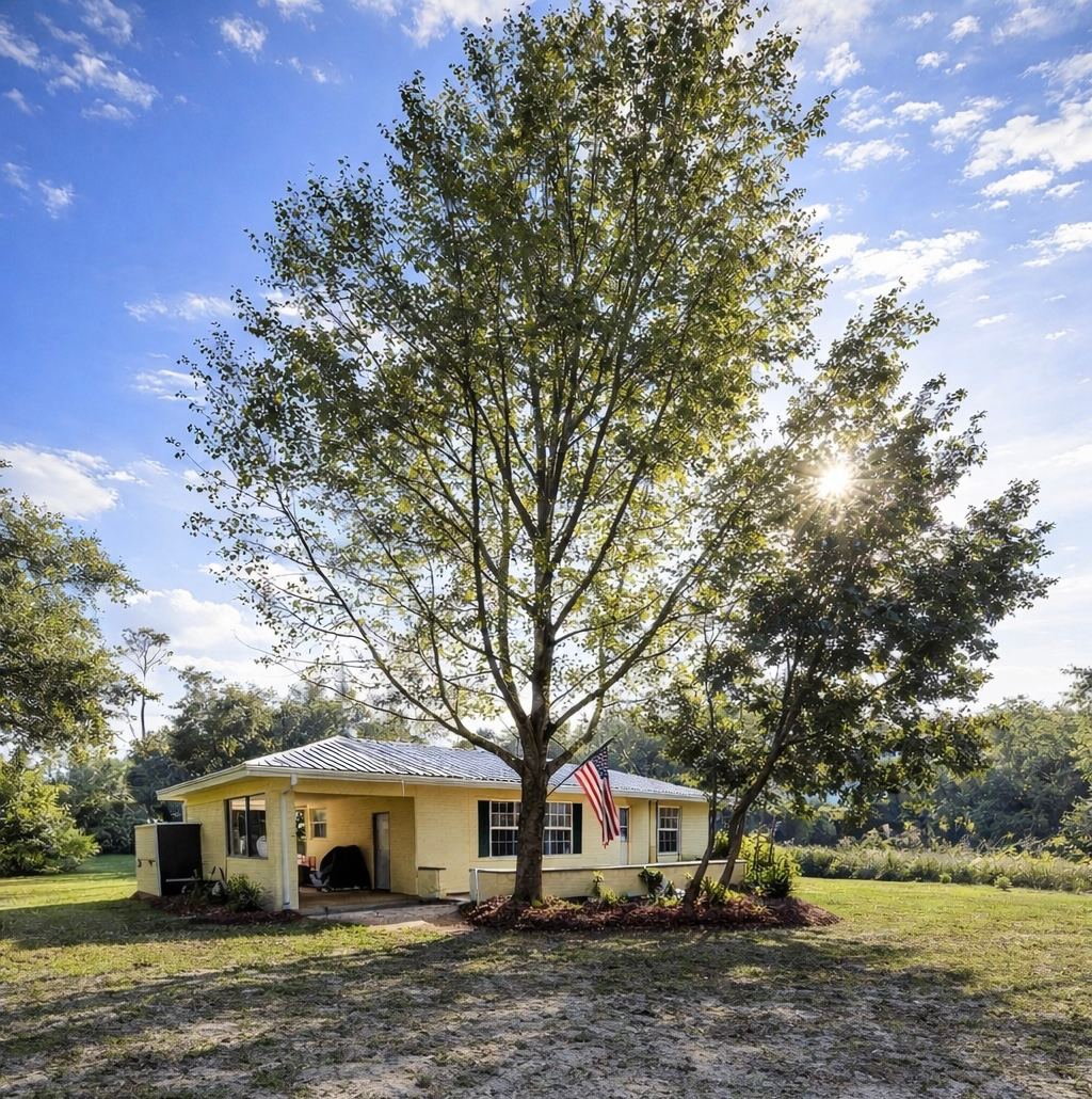 Ocala Forest Cottage