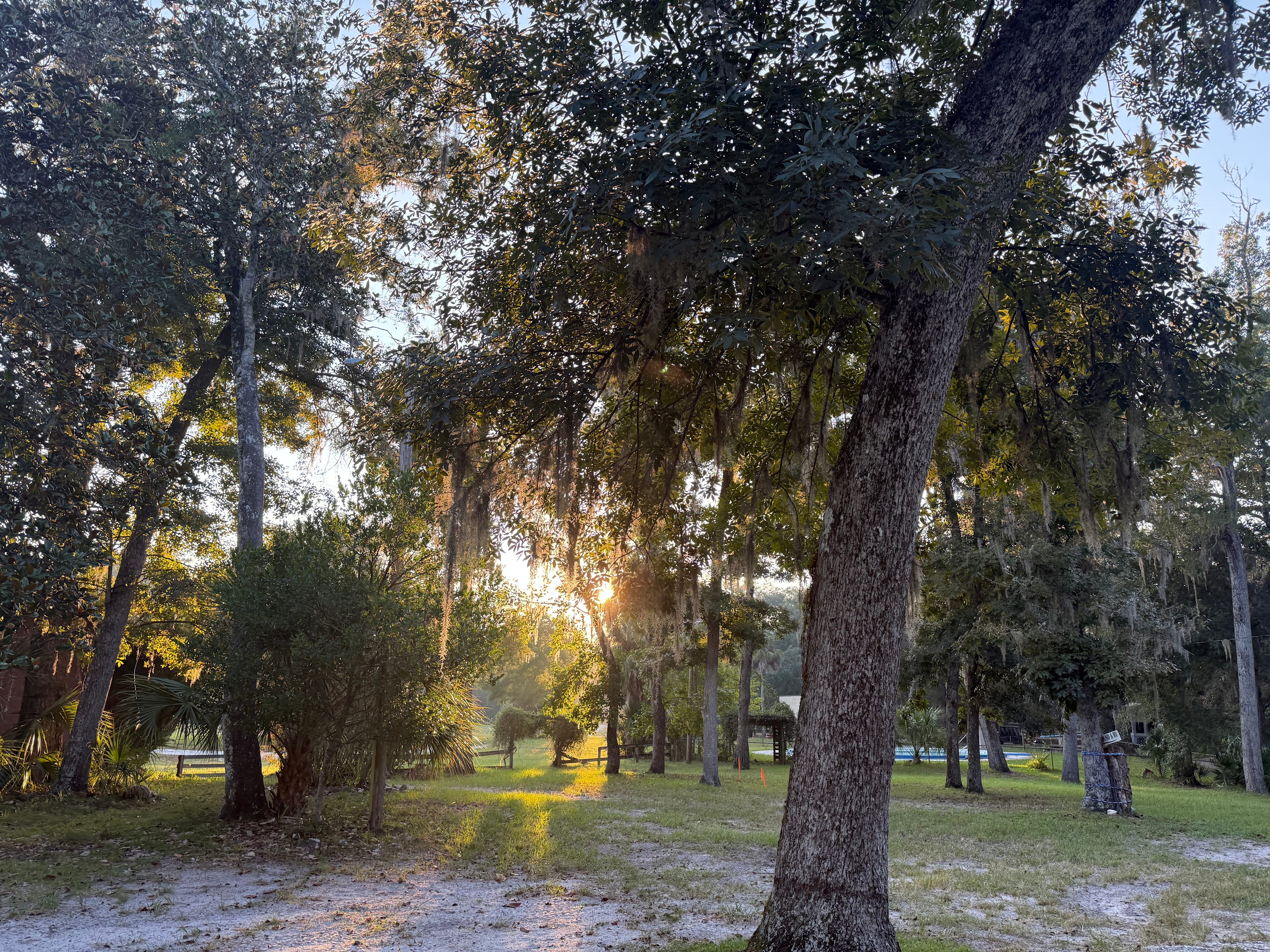 Peaceful Suwannee River Camping