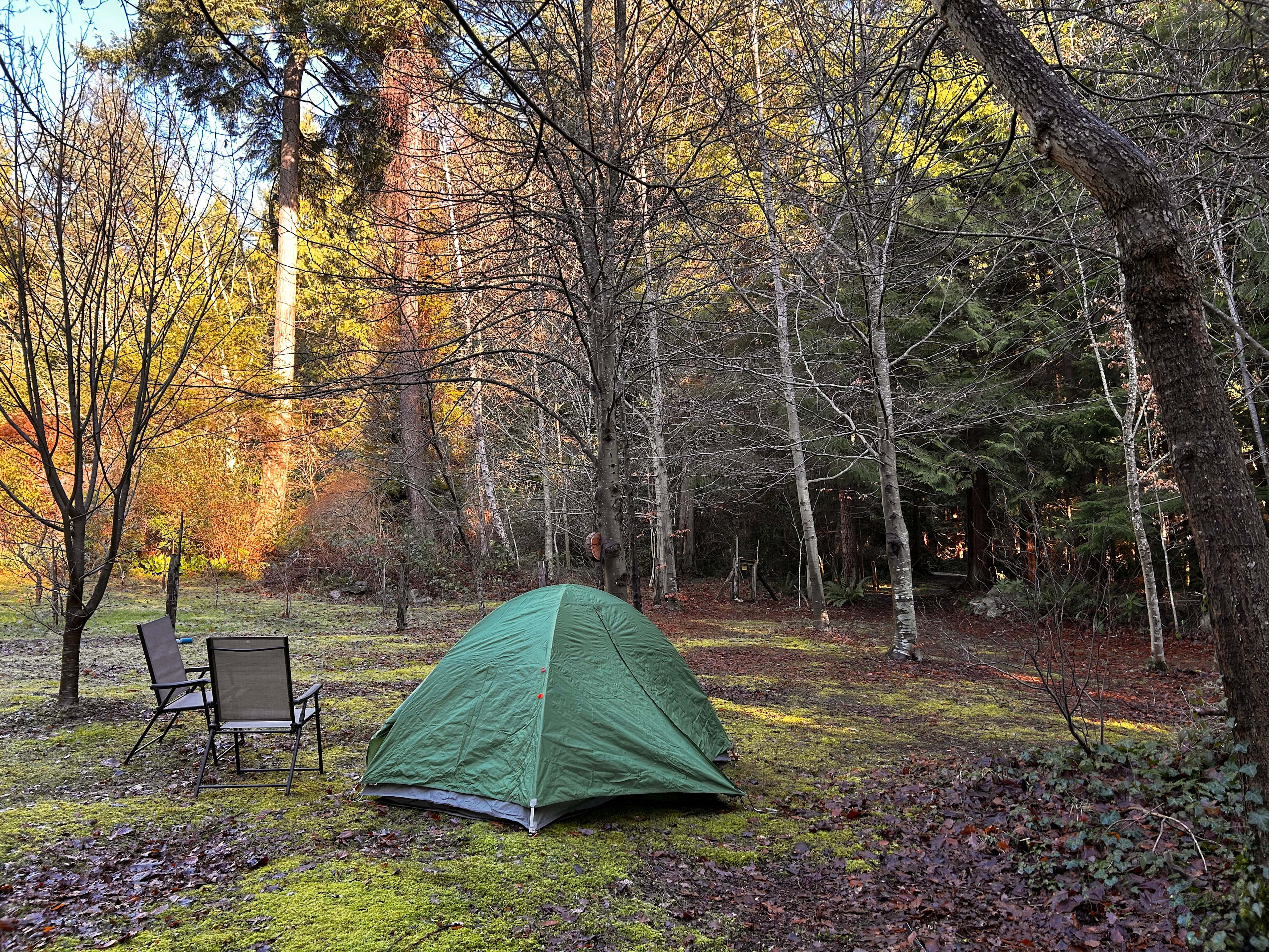 Coastal Orchard Farm Stay