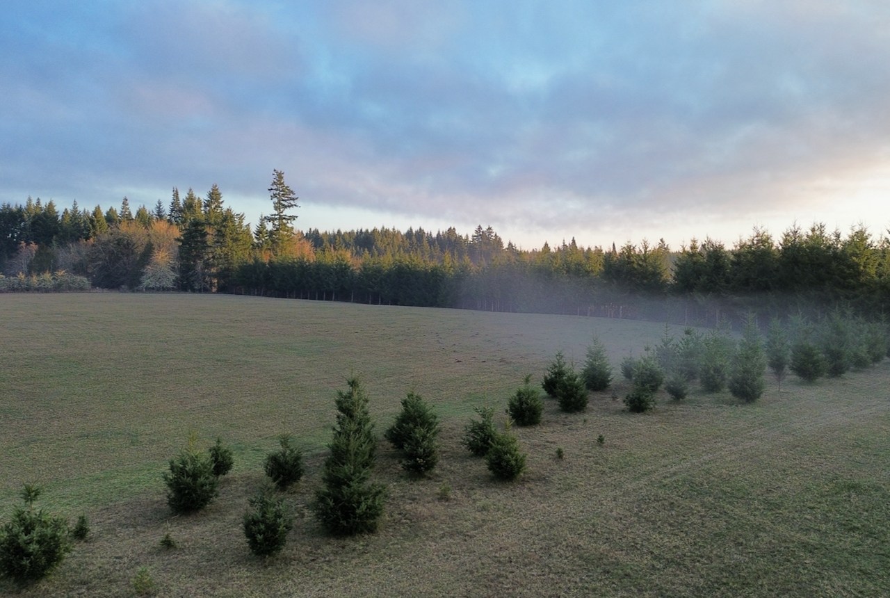 Group Camp, Pickleball and Hiking