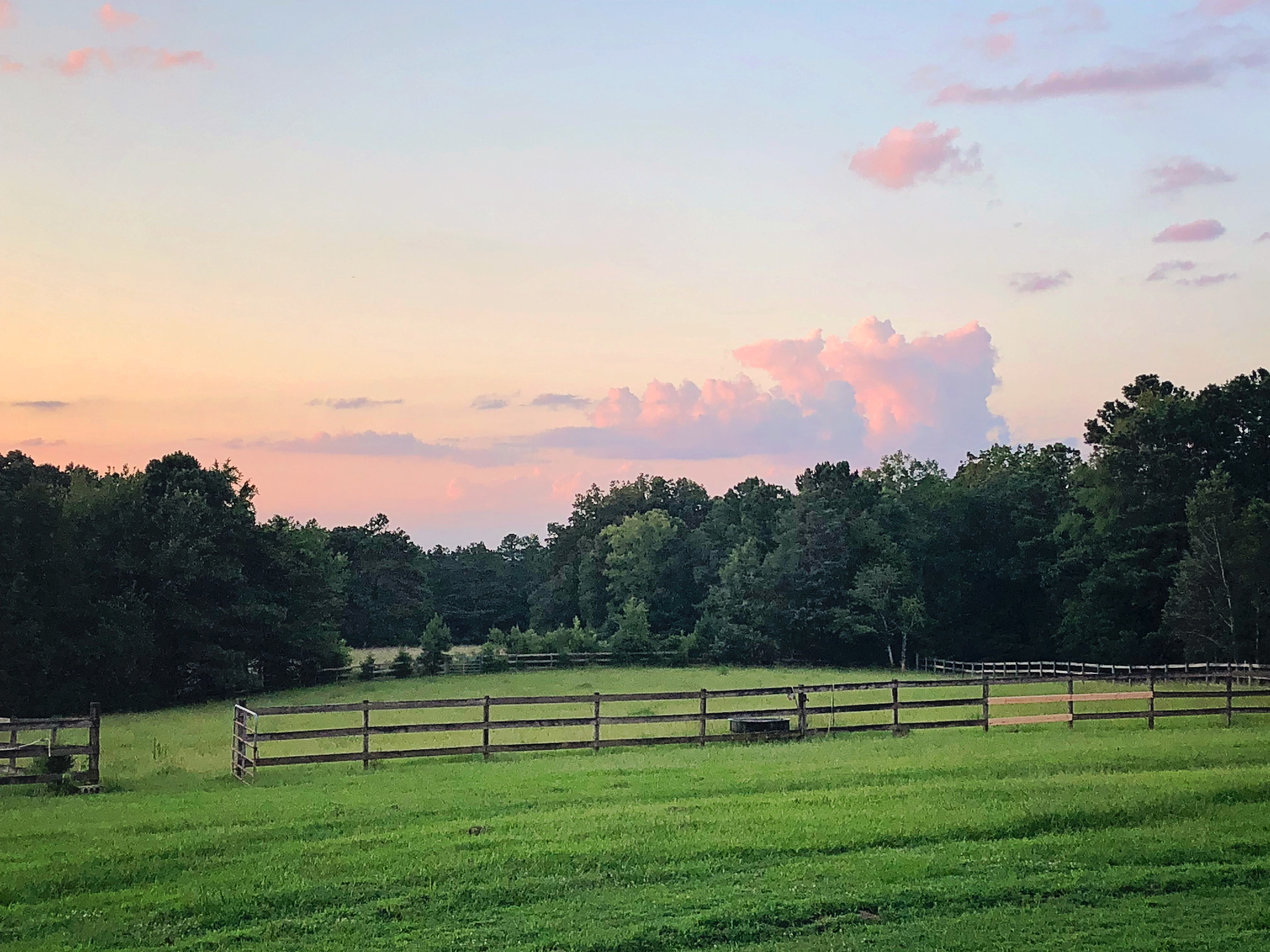Country Bliss