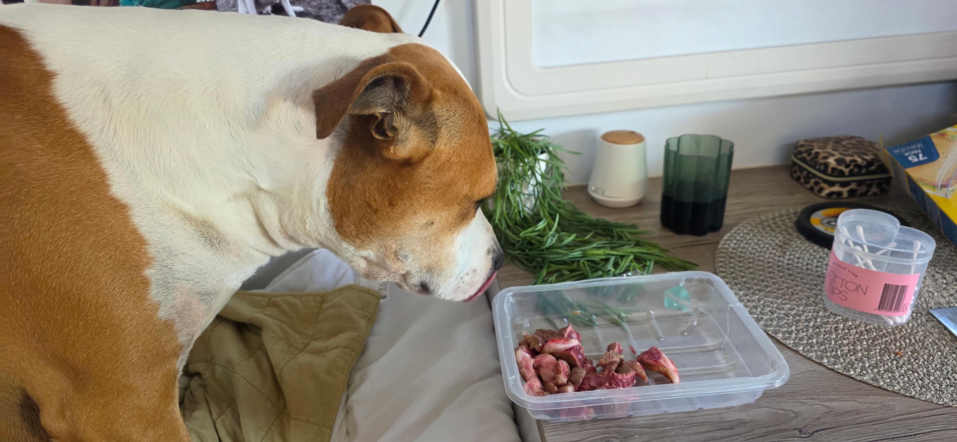 Waterfront HP - Adult Only Retreat