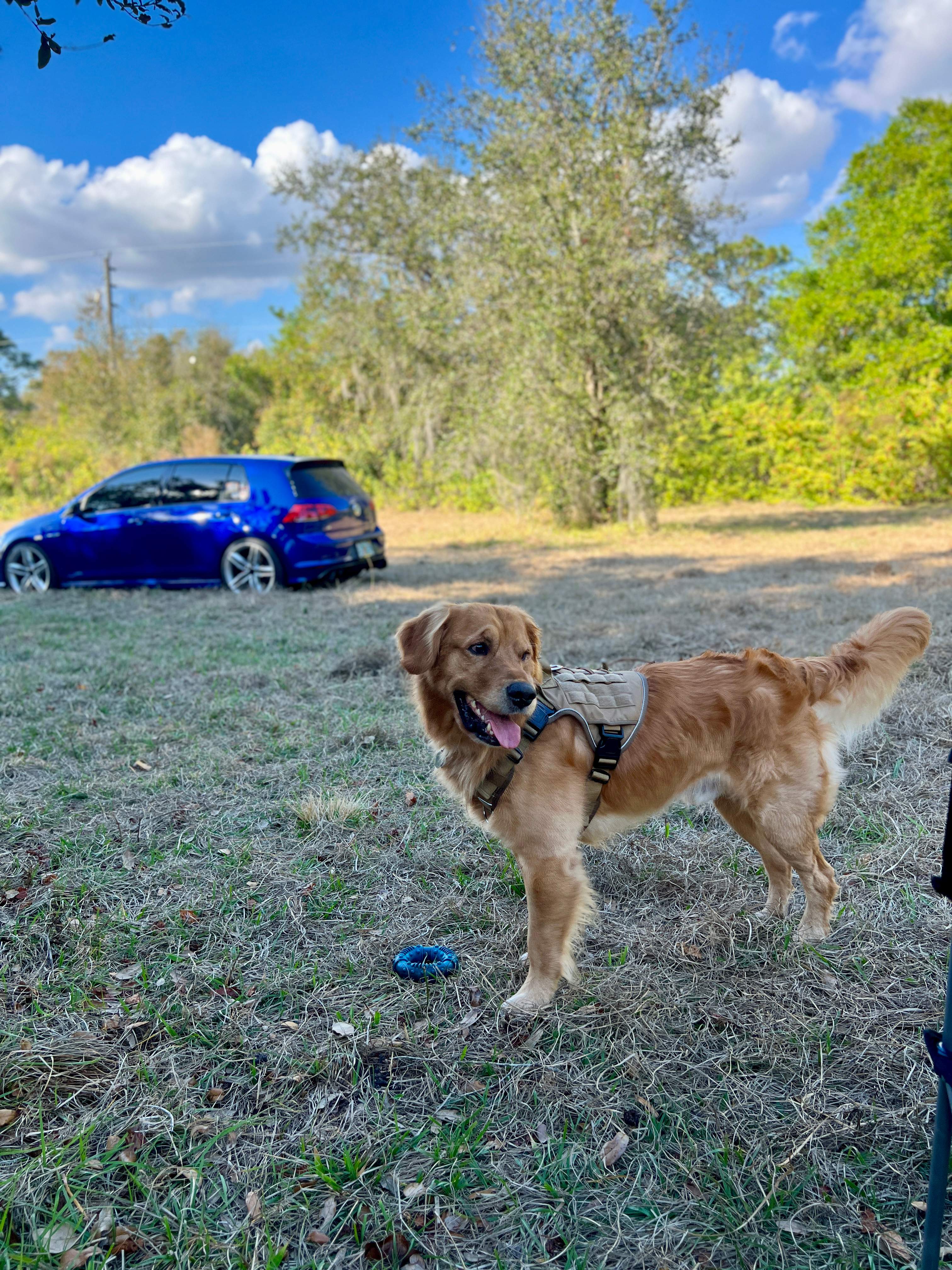 Magical Pond On Flitterbug Farm