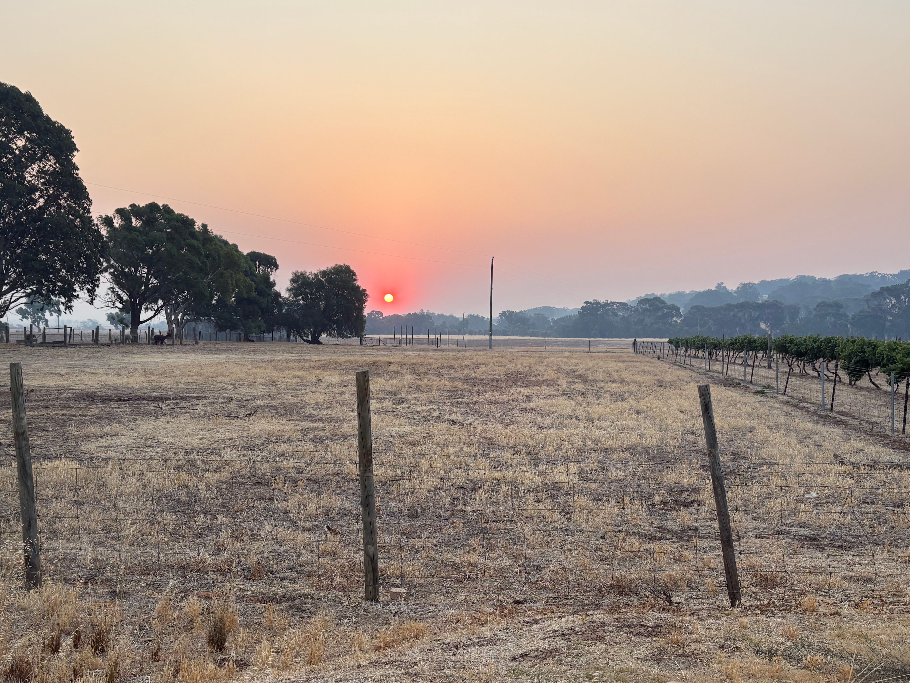 Downderry Estate Farmstay