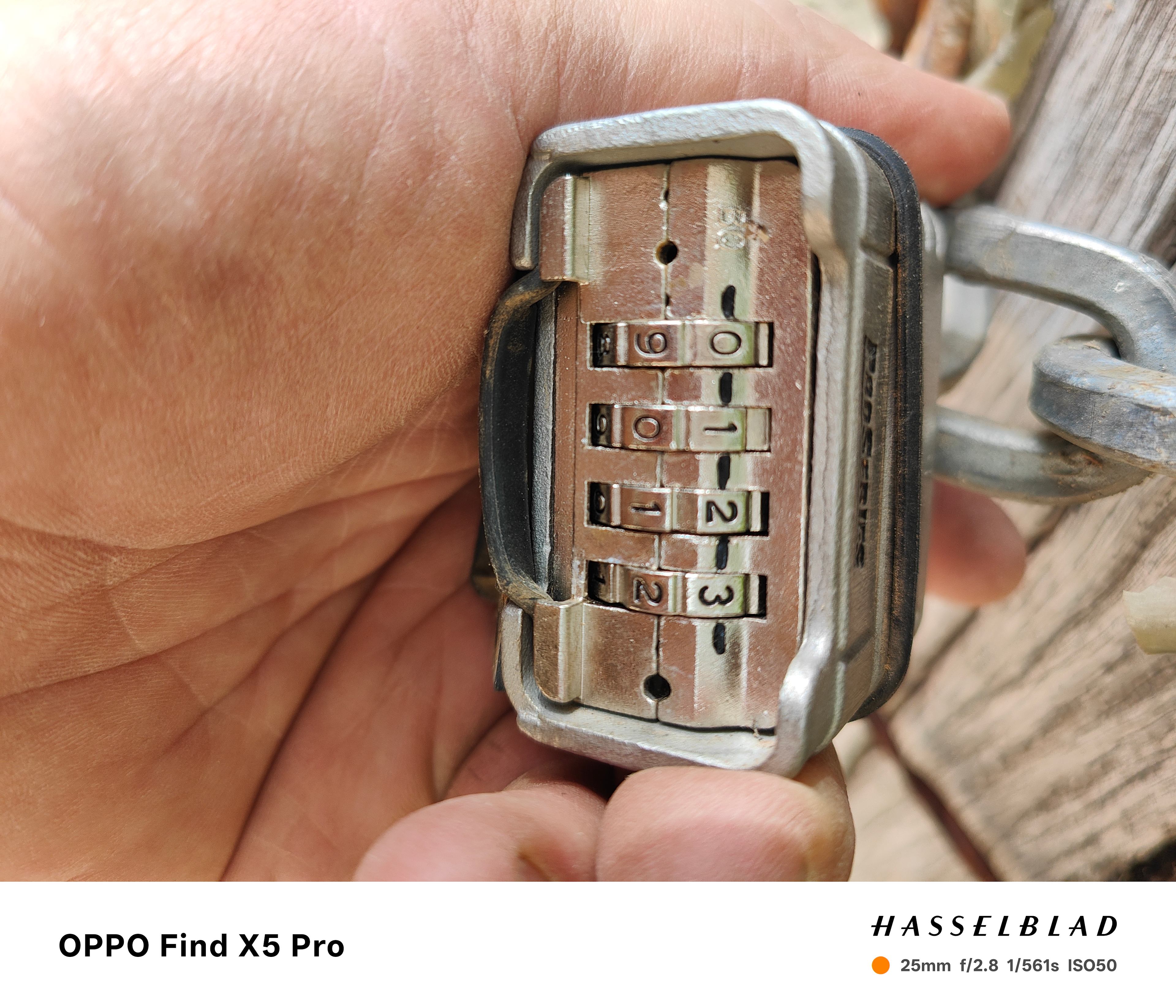 Mystic View Farm Bright