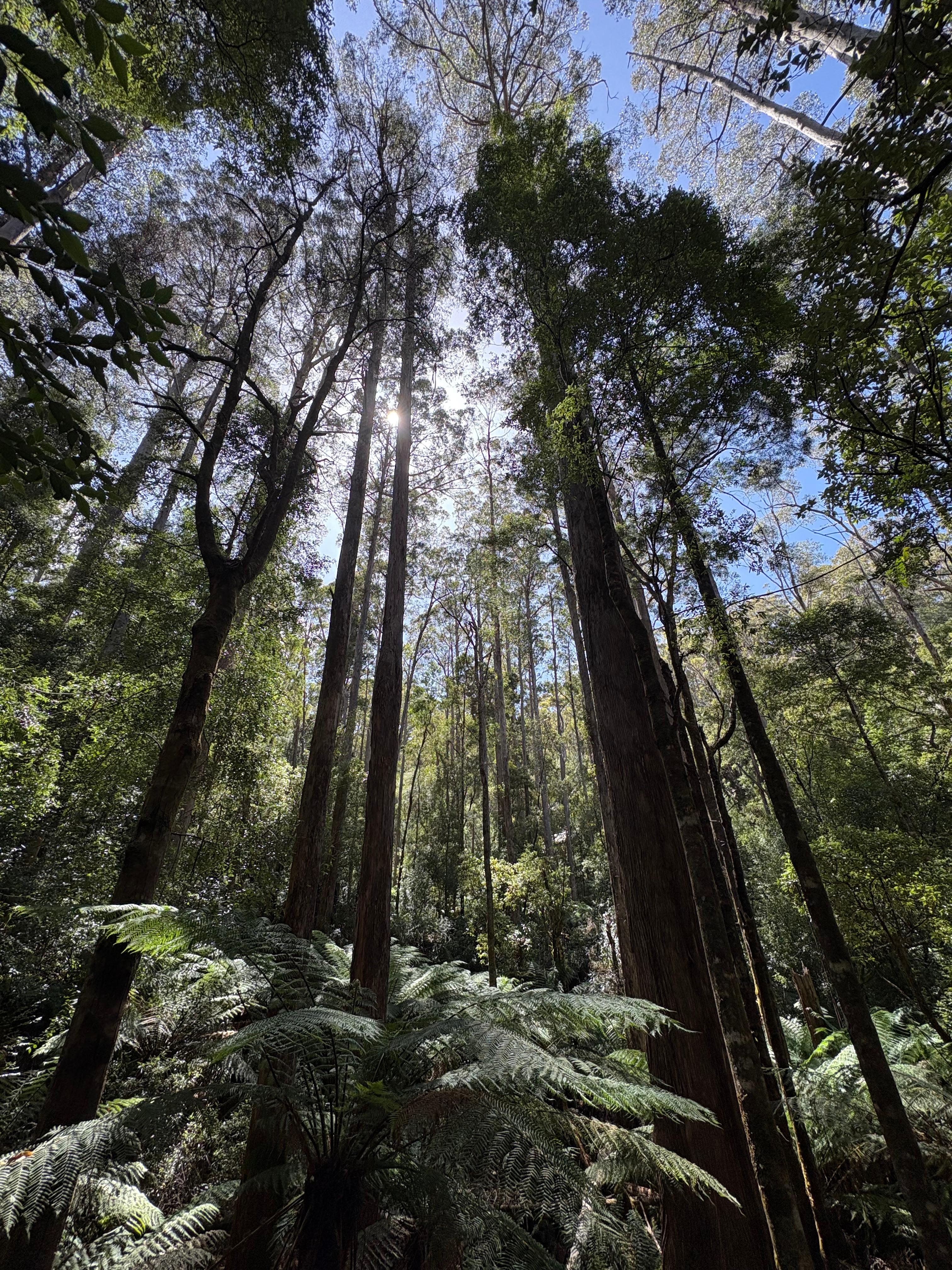 Mountain River Retreat