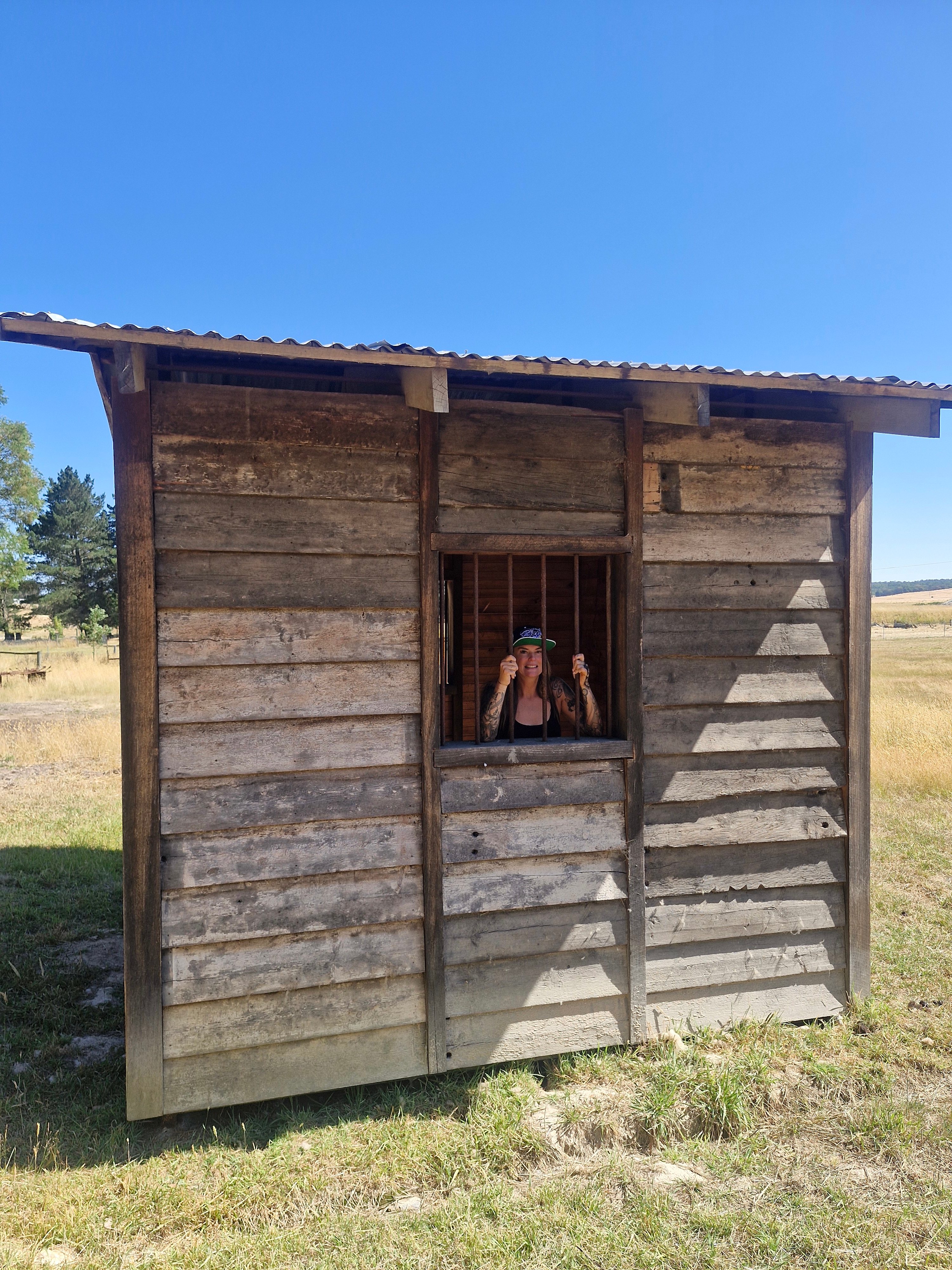 Pine Trees Farm - Waterloo