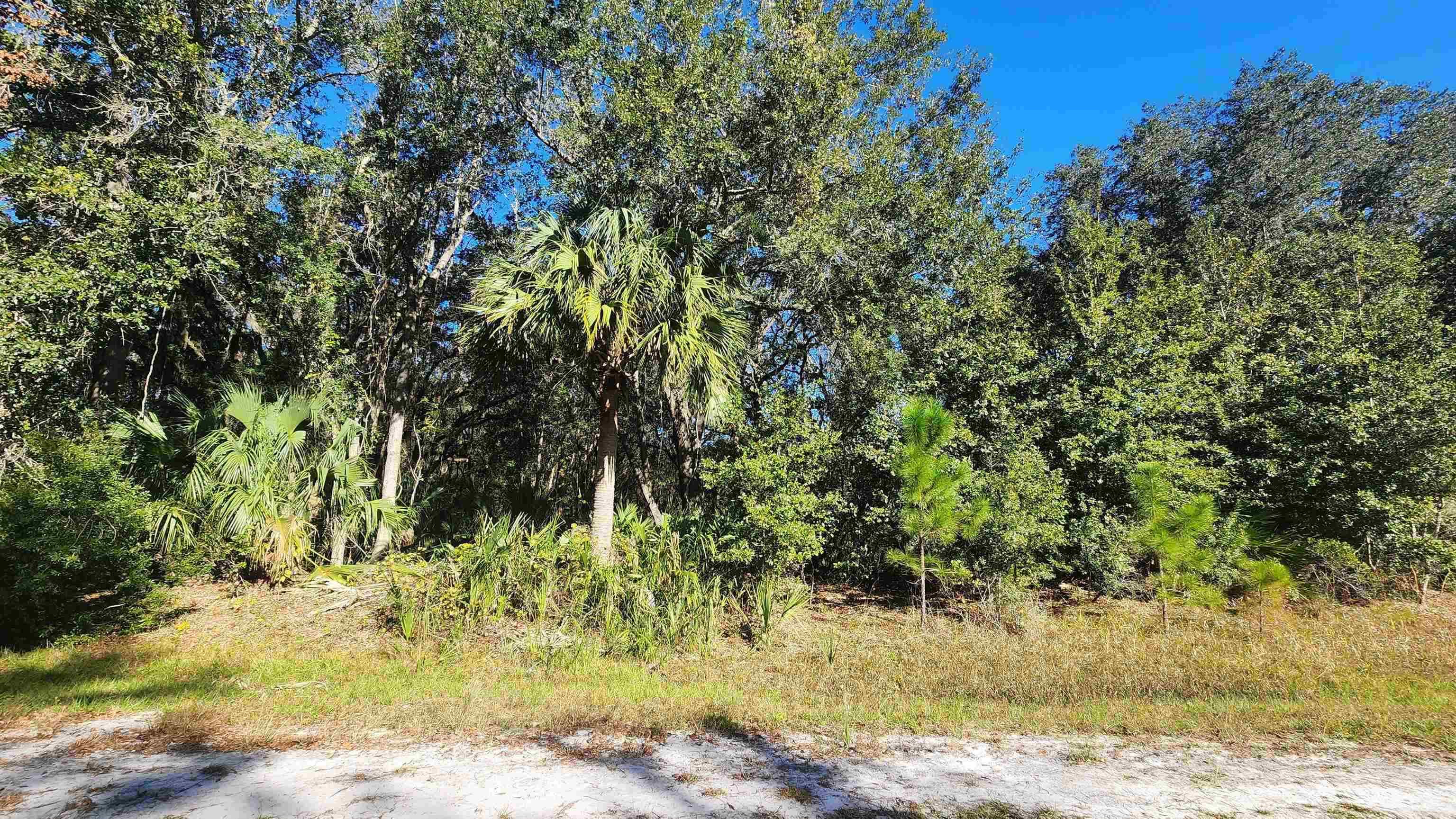 Lake George Fishing Camp