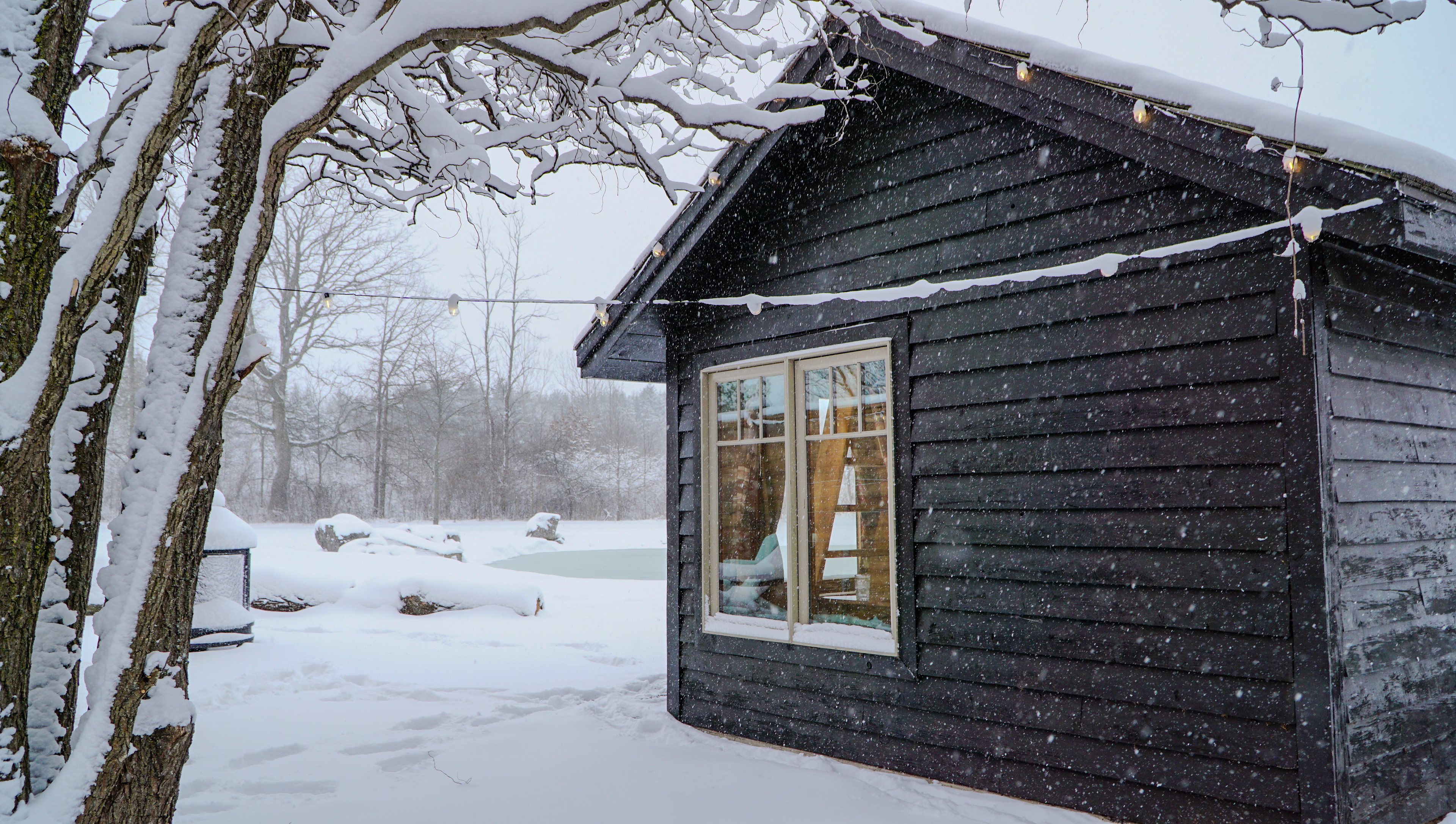 Cozy Cabin Beside Pond | Niagara