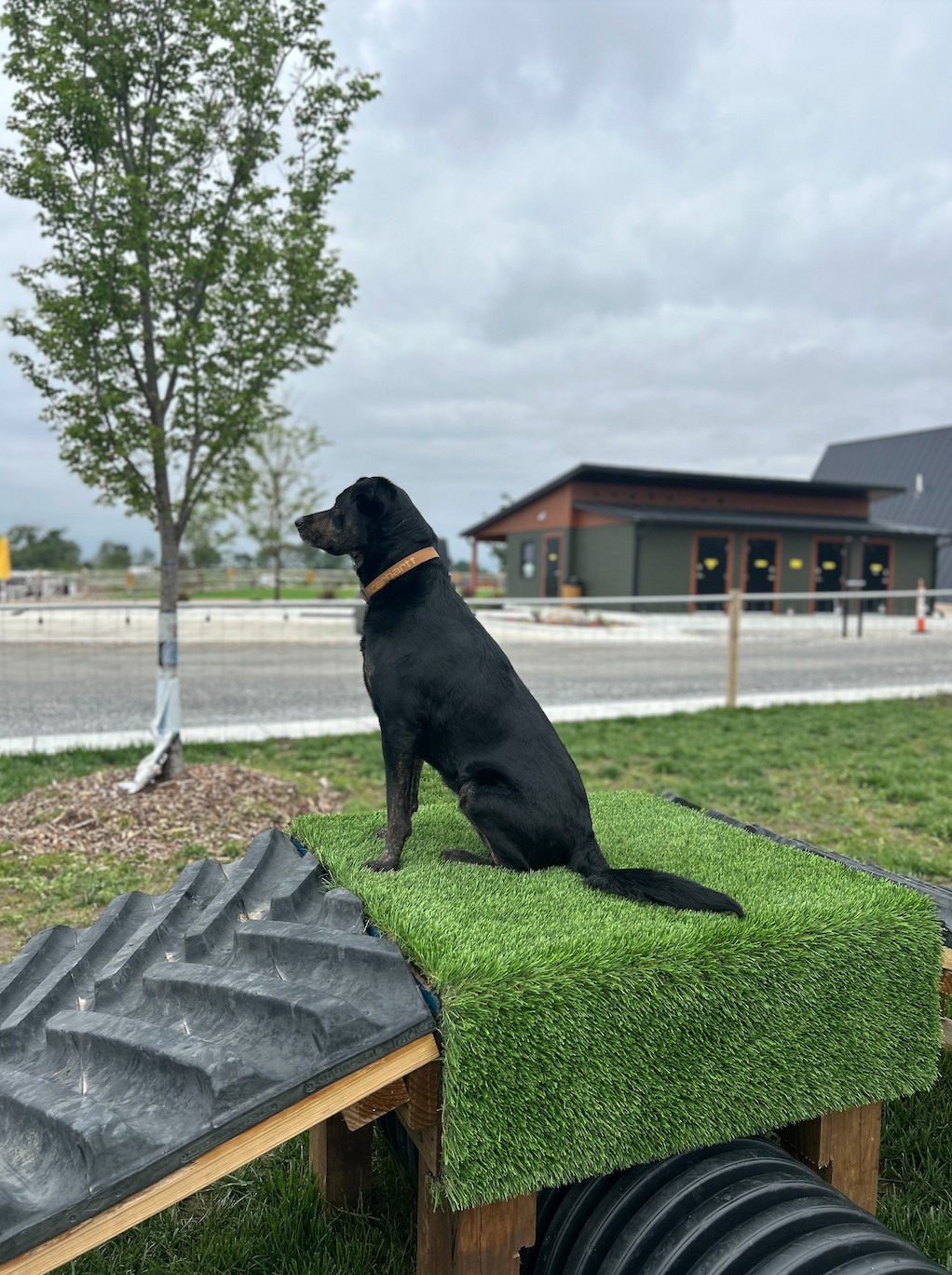 Seward/Lincoln West KOA Holiday