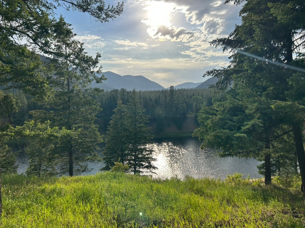 Rewild Ranch