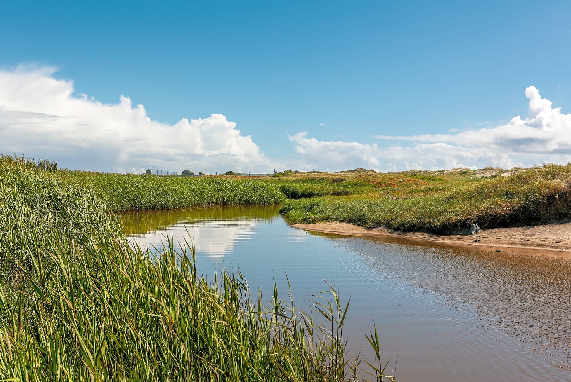 Walberswick Camping