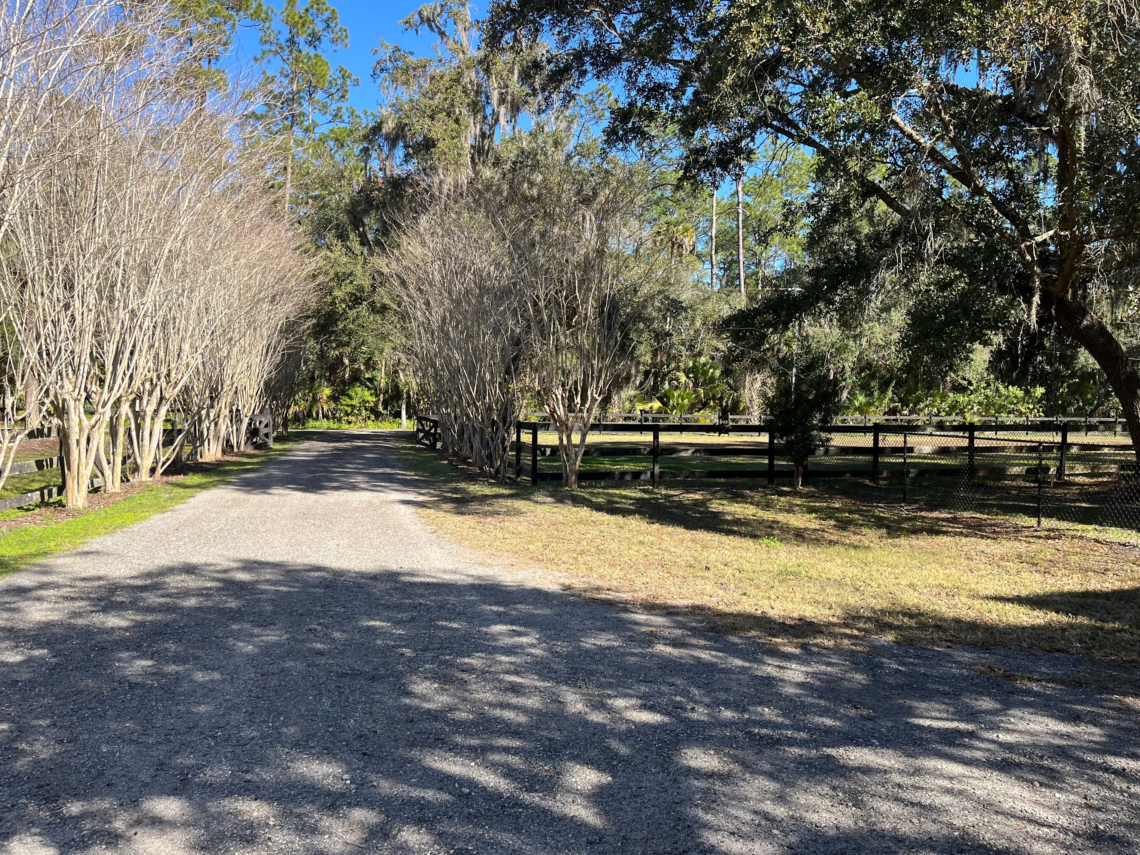 Driveway and Parking Space