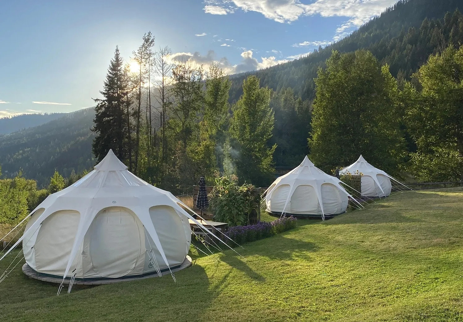 Bear Spring Glamping