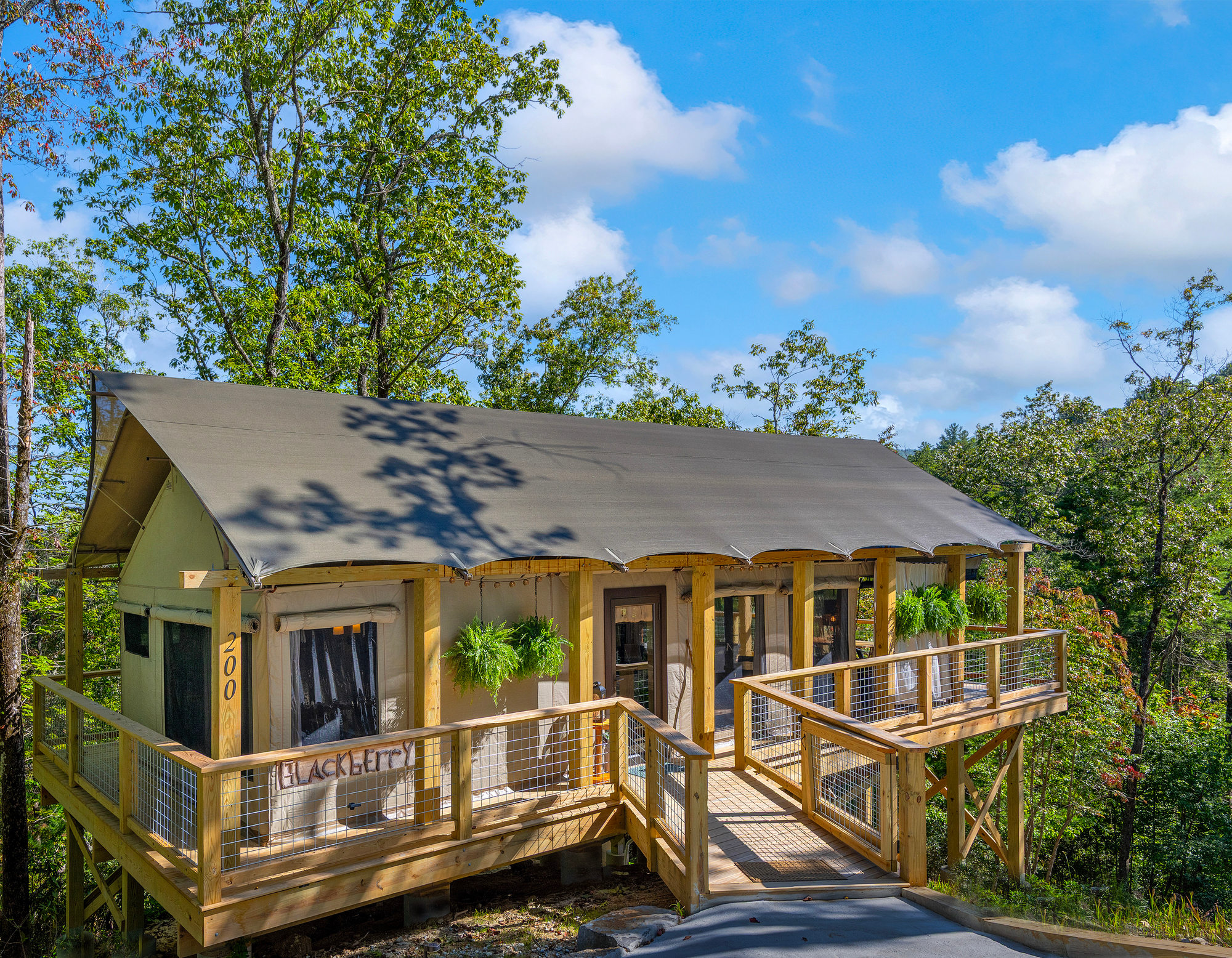 Tuxedo Falls Treehouse Resort