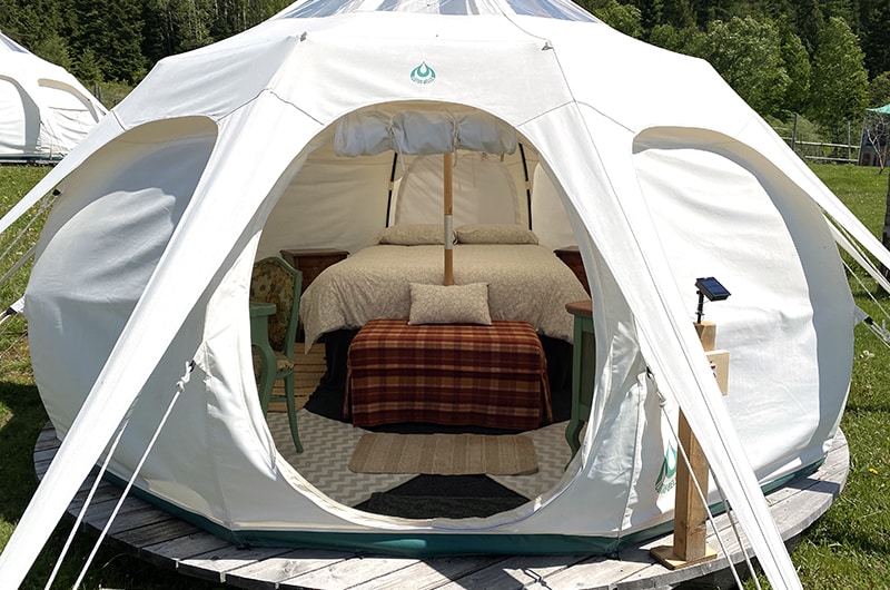Bear Spring Glamping