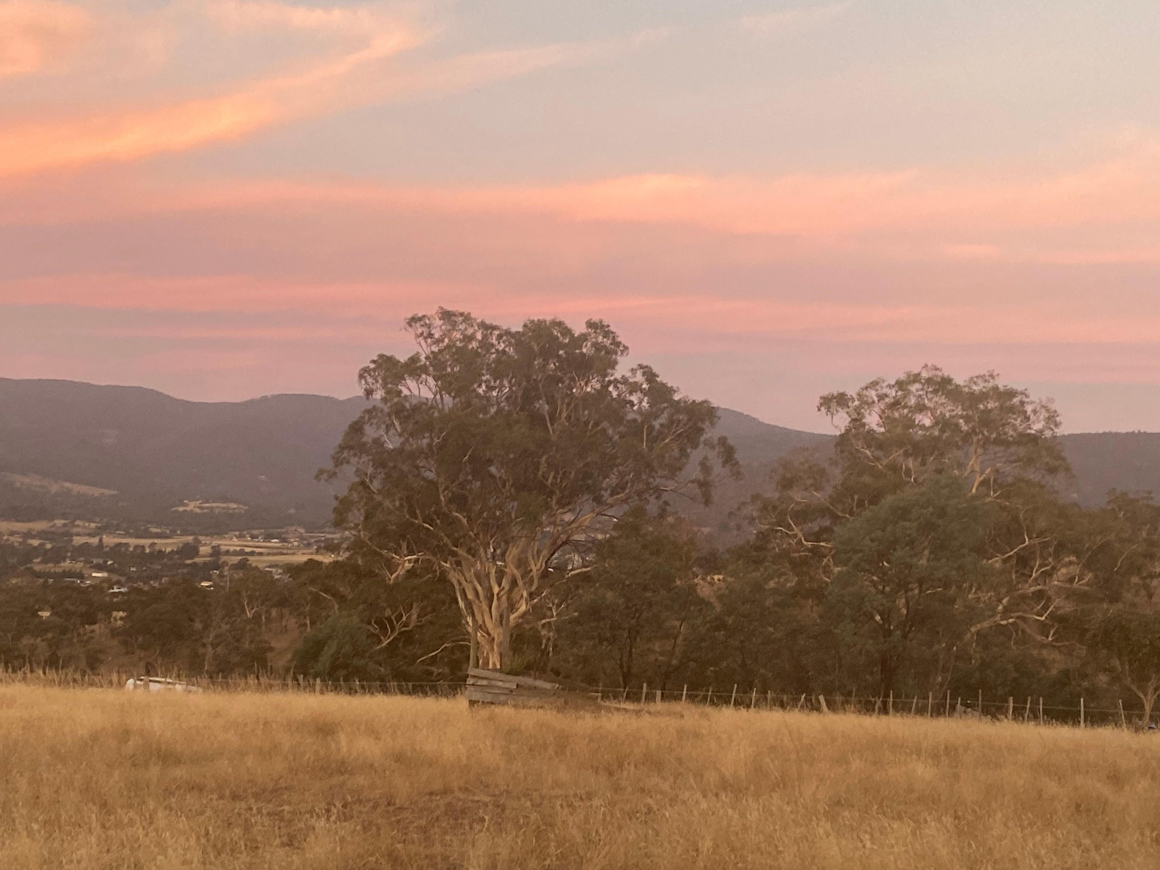 Derwent Valley Farm Stay