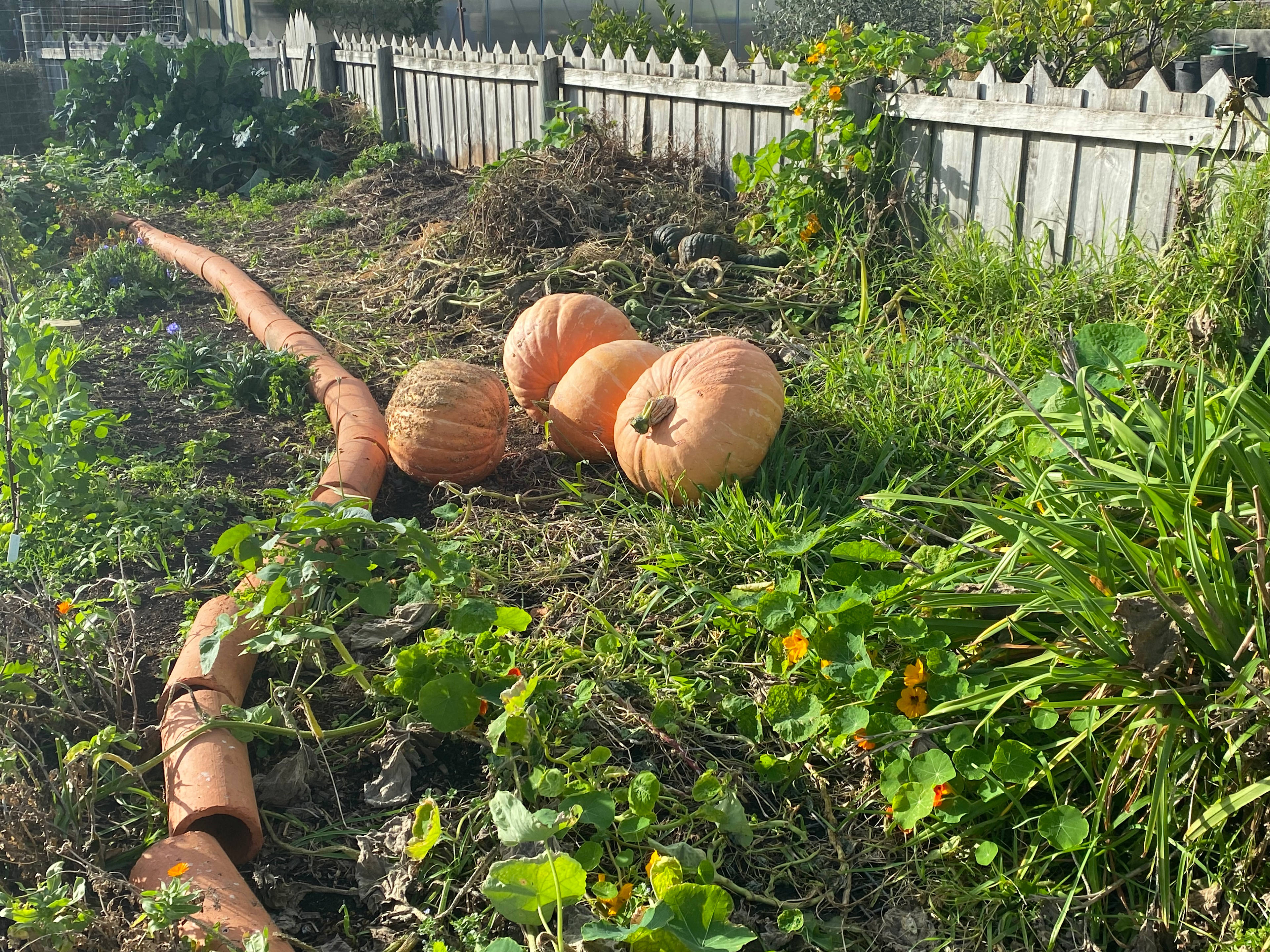 Derwent Valley Farm Stay