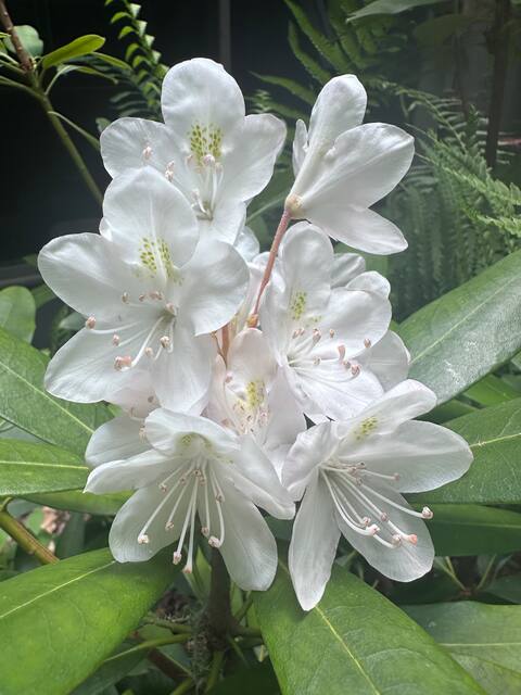 Creekside Tiny House in the Forest