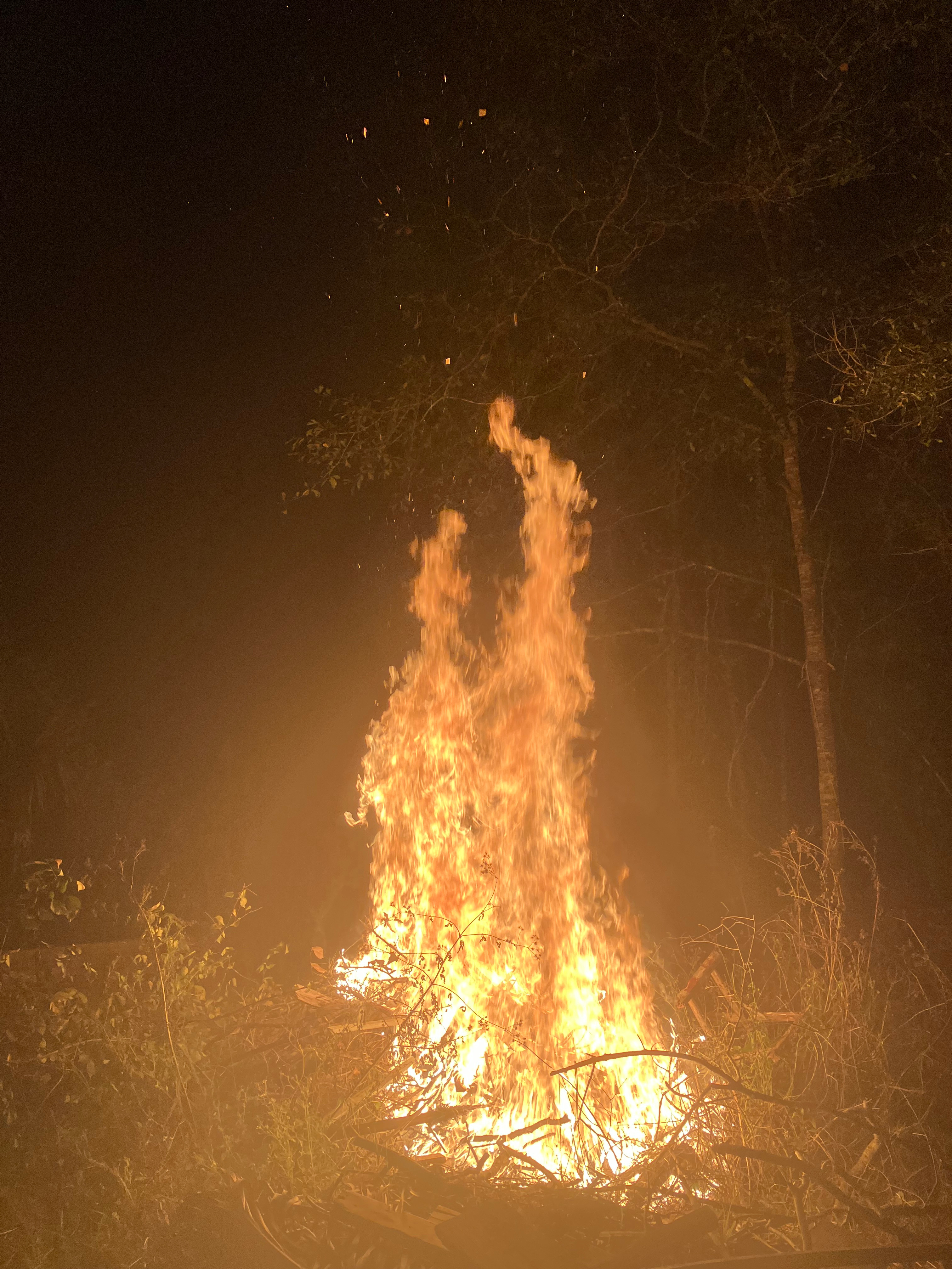Old Florida Wooded Site Near Town
