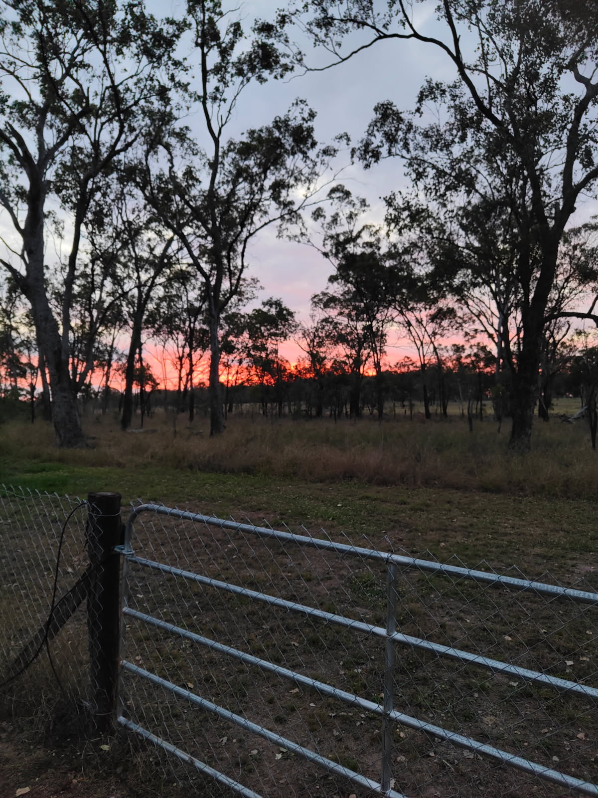 The house that jack built